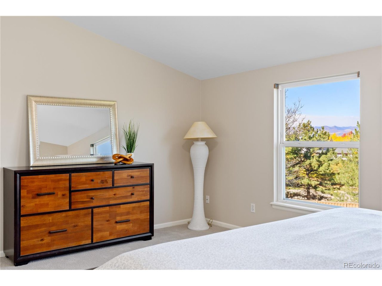 10015 Hughes Pl Highlands Ranch