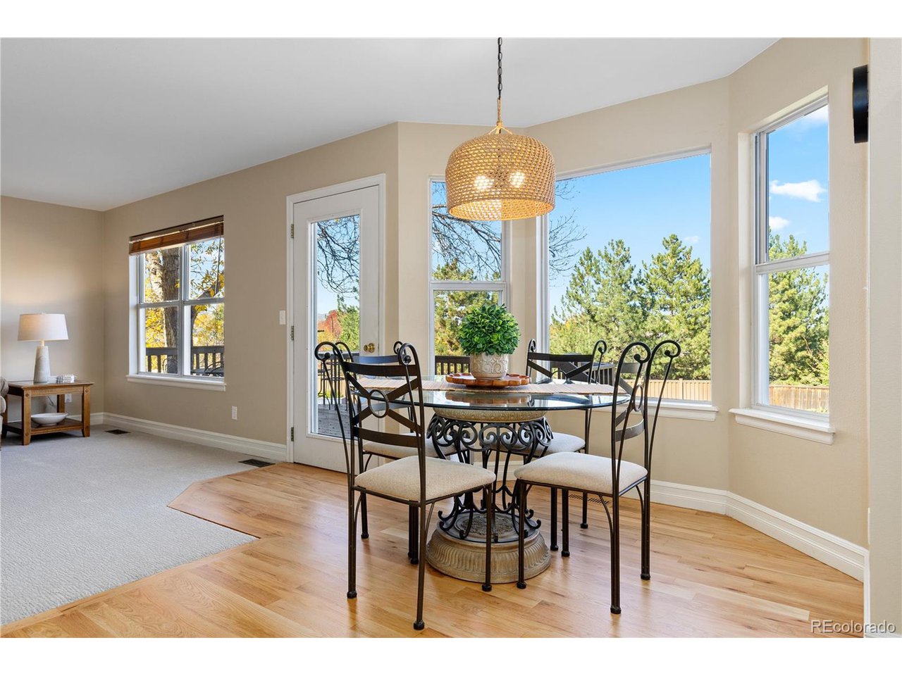 10015 Hughes Pl Highlands Ranch