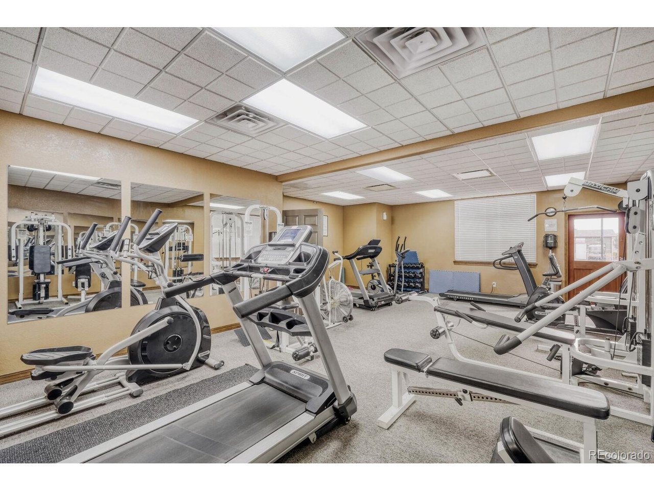 4180 Gray Fox Hts 111