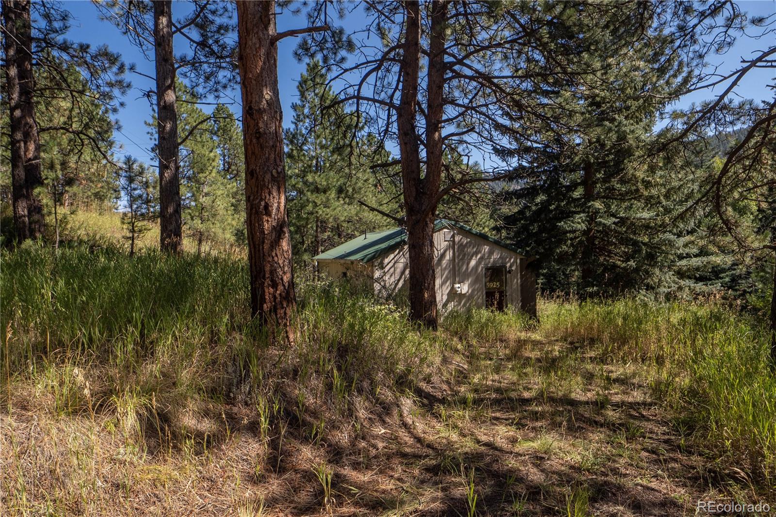 5925 Herzman Drive
