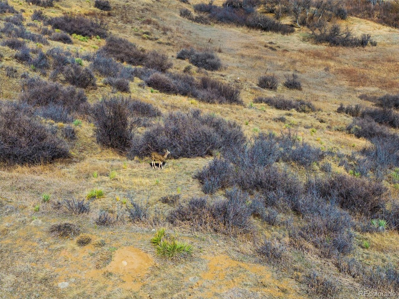 21764 Silver Meadow Ln