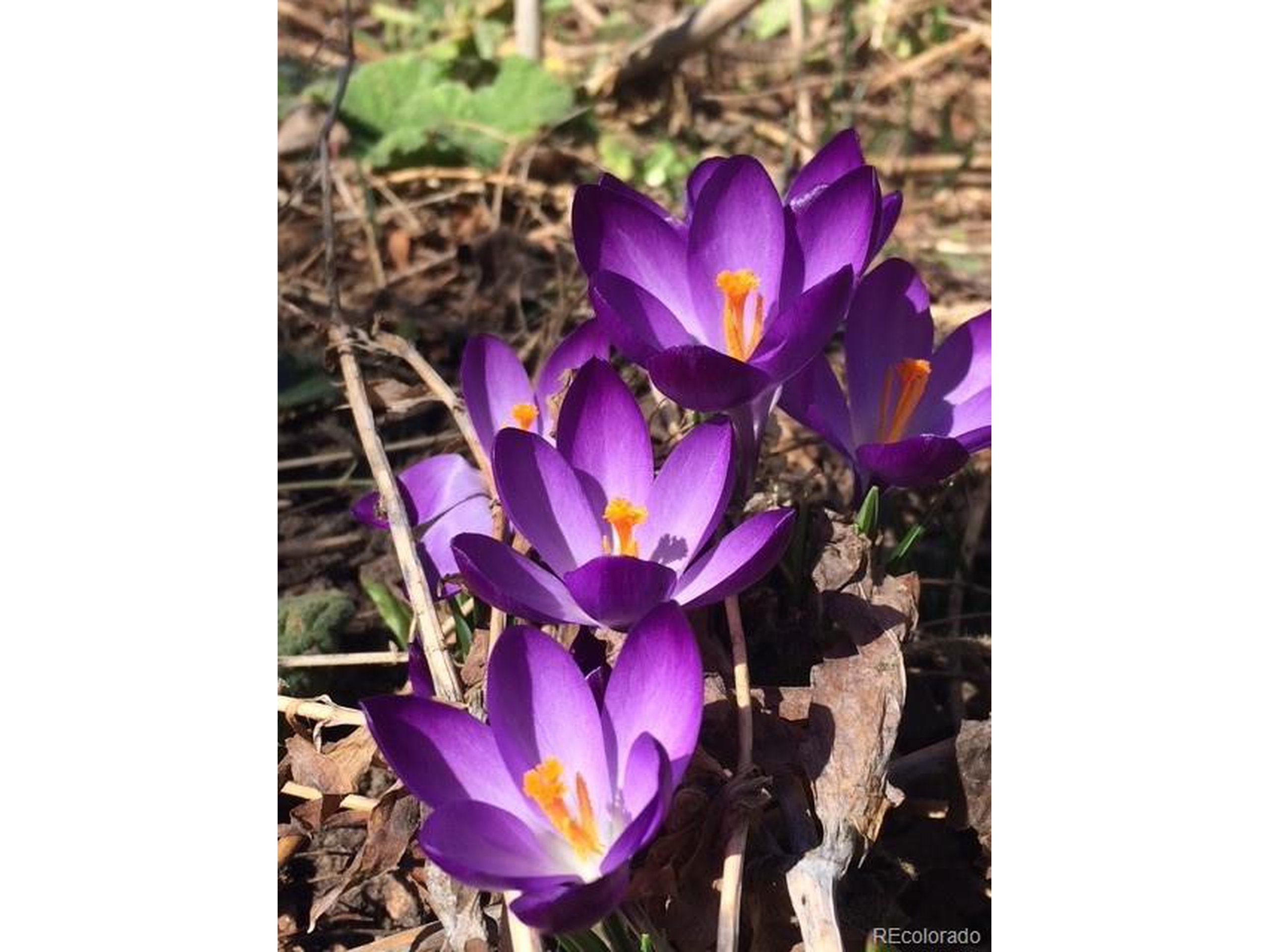 3130 S Washington St