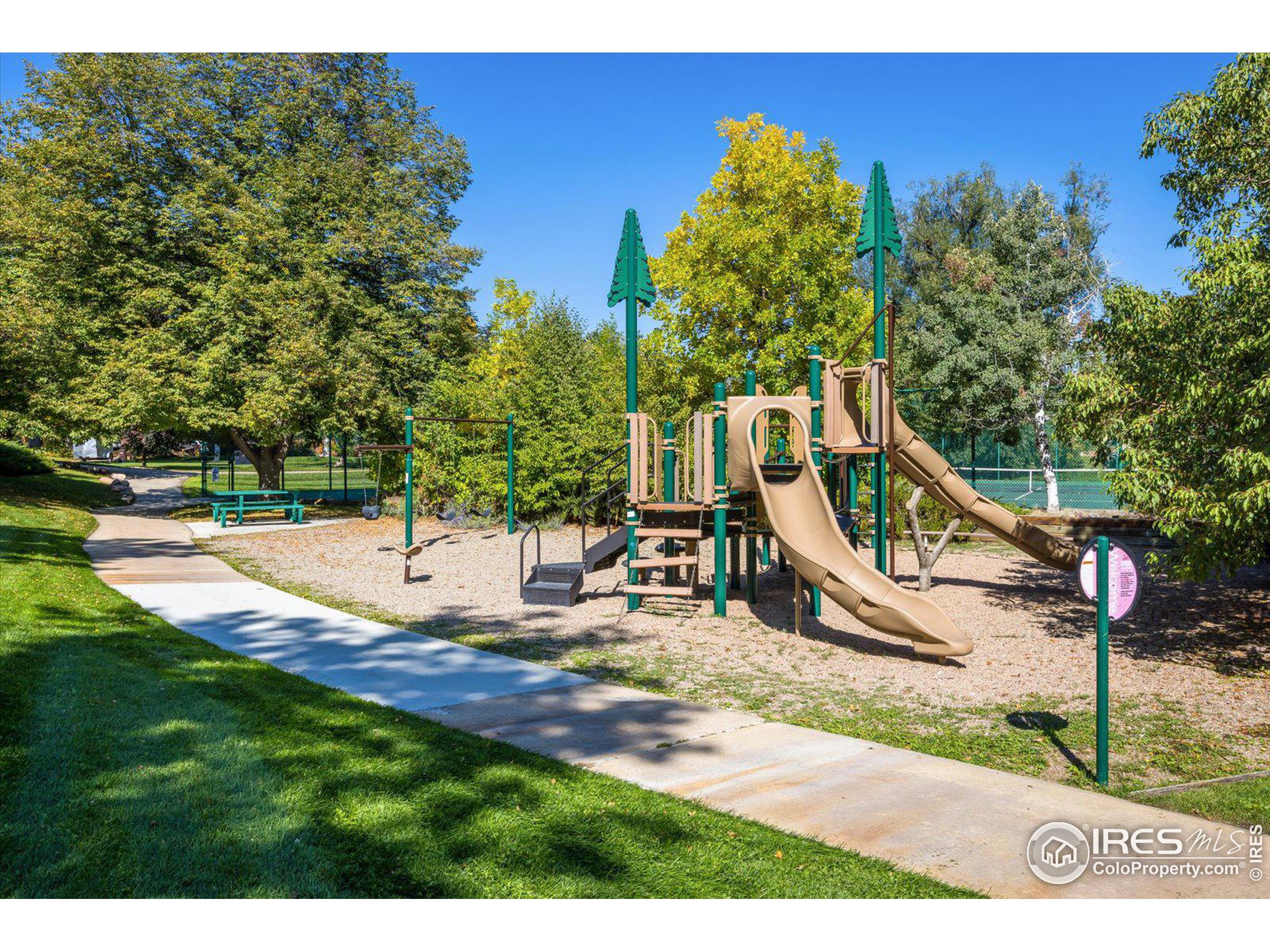 3755 Birchwood Dr 46