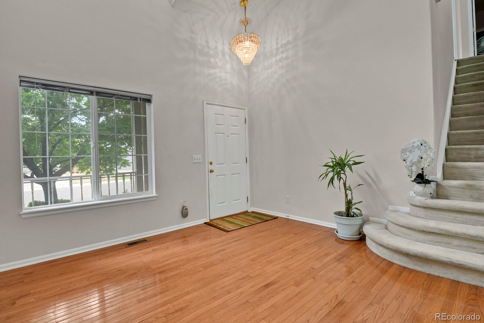 2503 Cove Creek Court