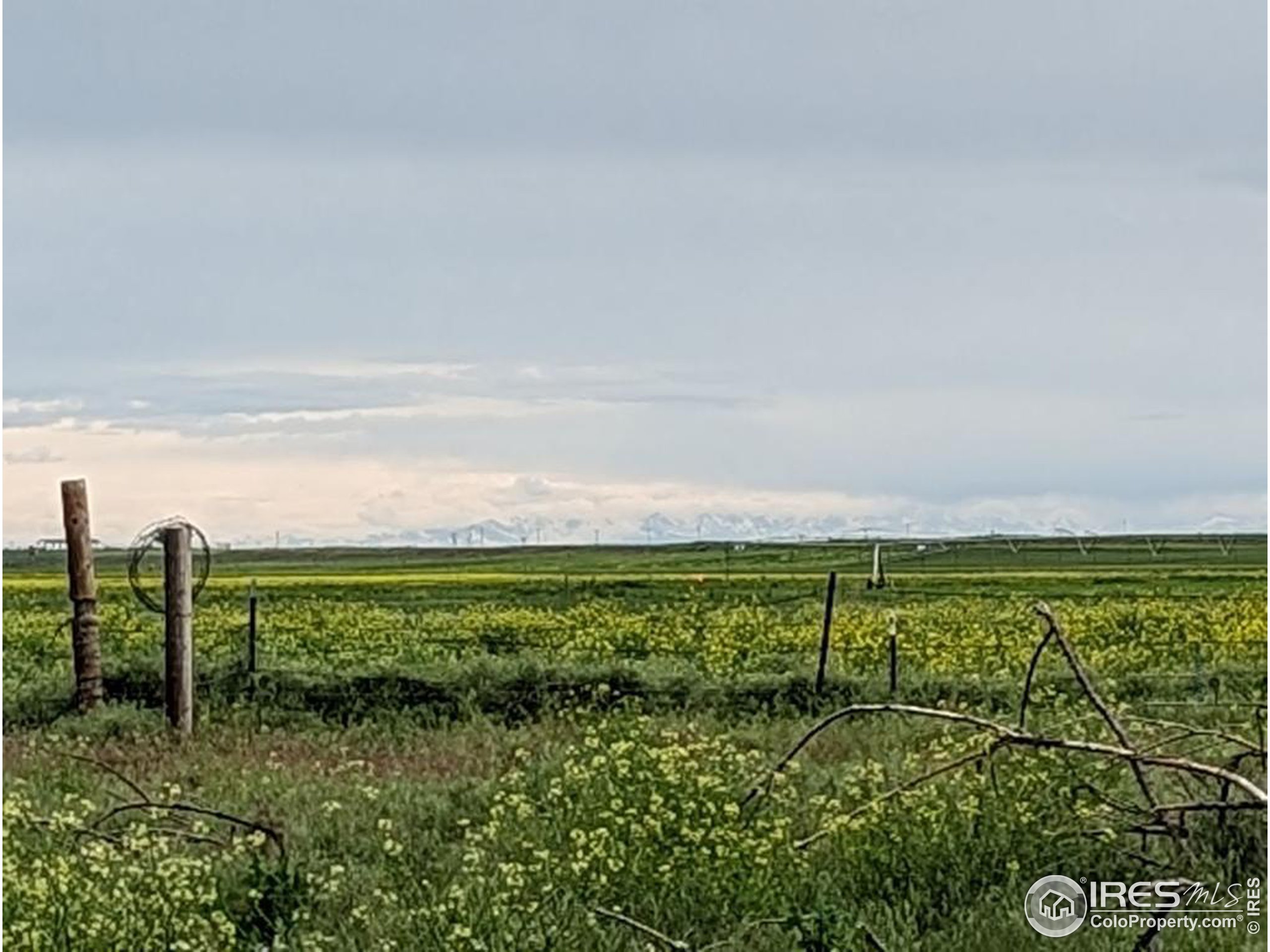 1299 County Road W.7