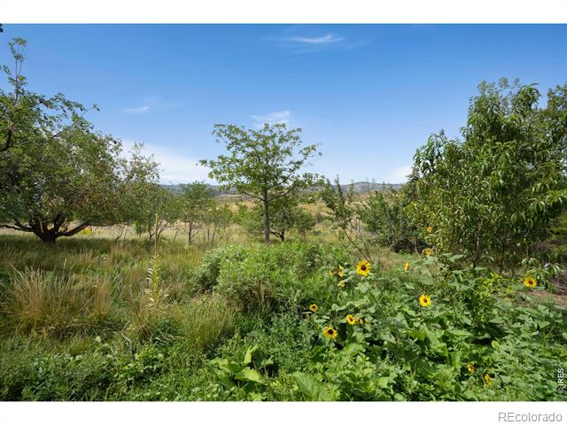 6410 Placer Court