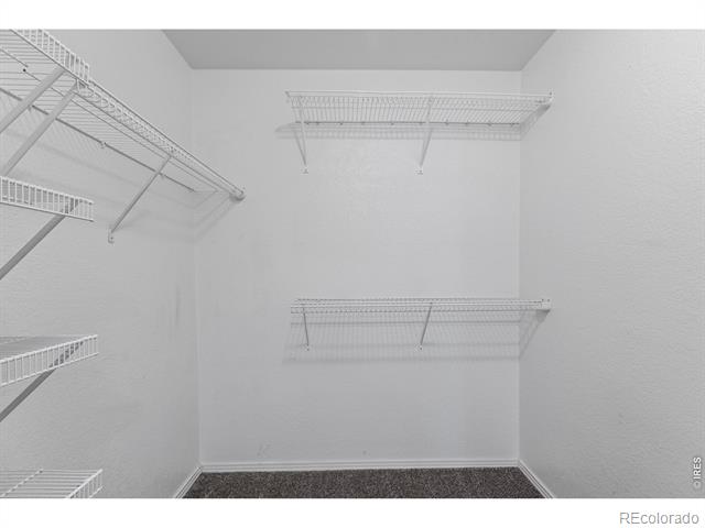 3002 W Elizabeth Street Unit: G
