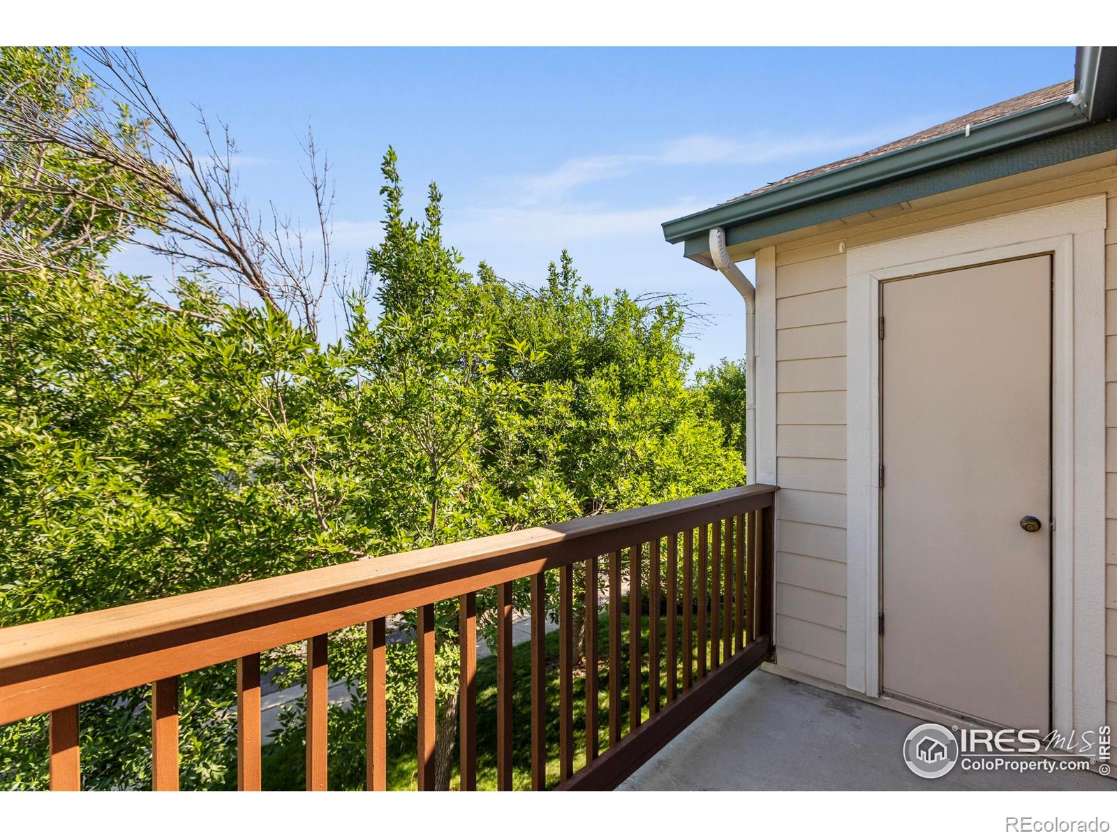 3002 W Elizabeth Street Unit: G