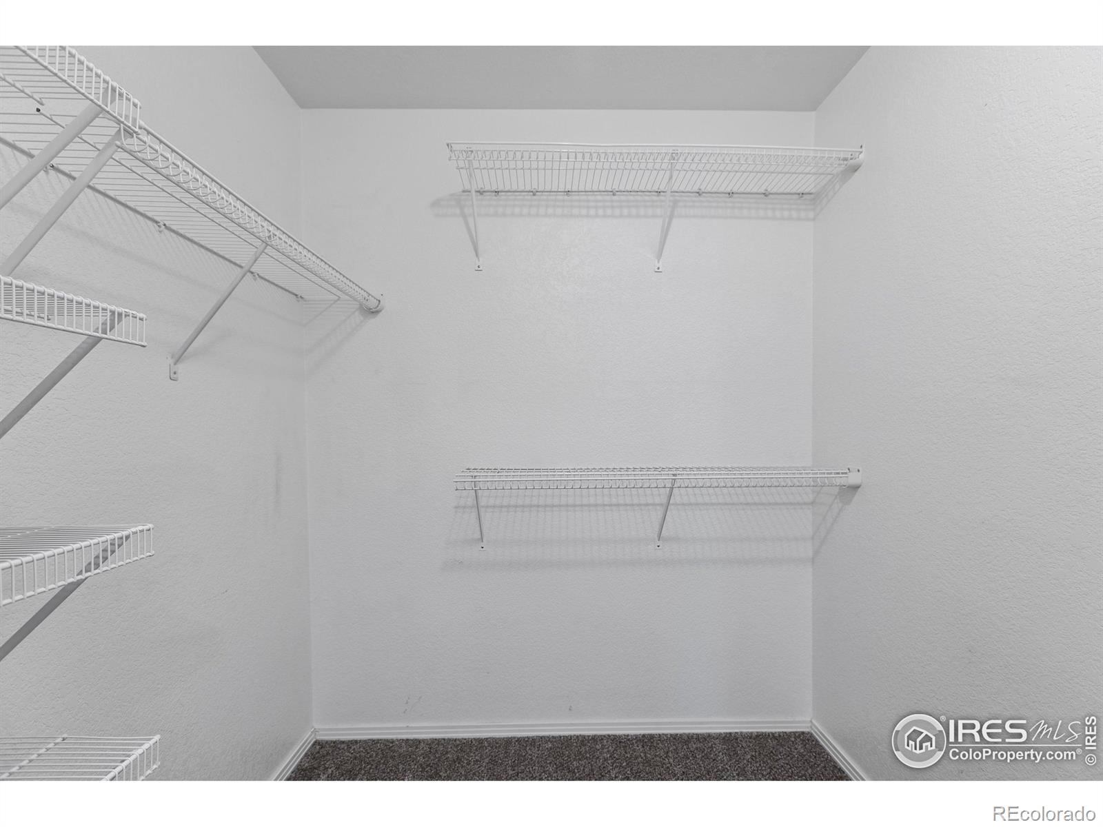 3002 W Elizabeth Street Unit: G