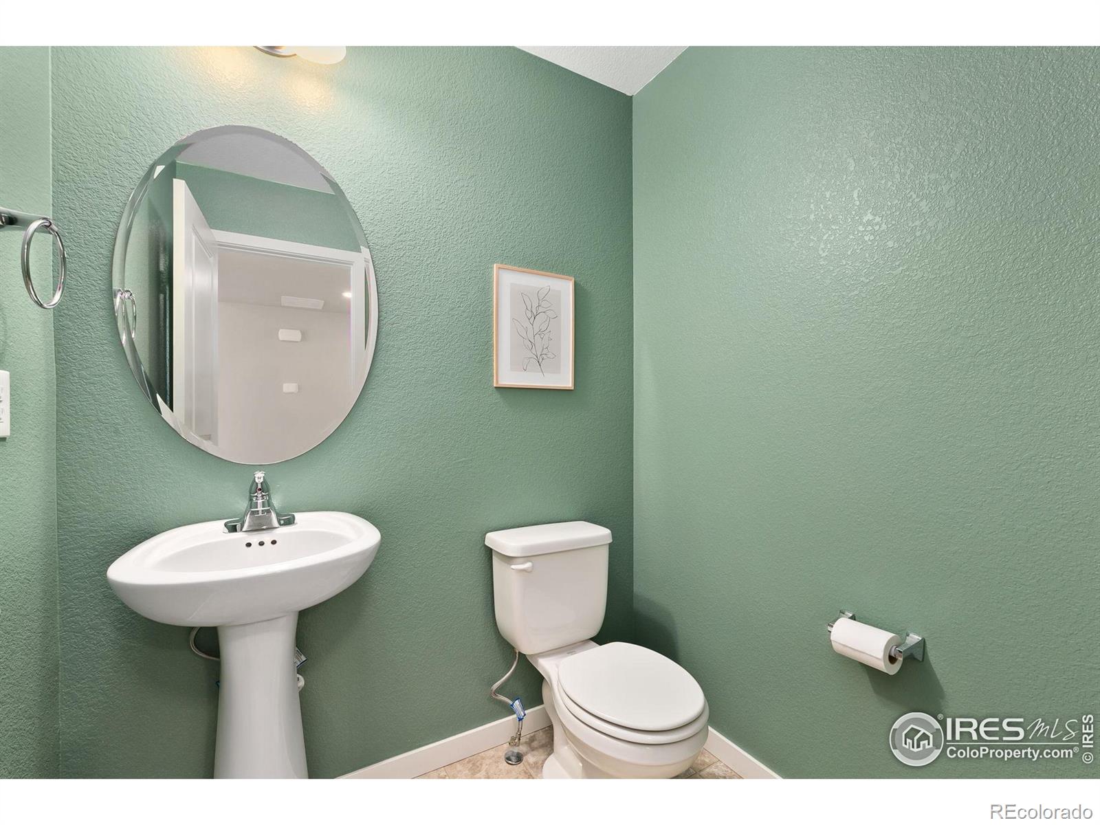 3751 Beech Tree Street