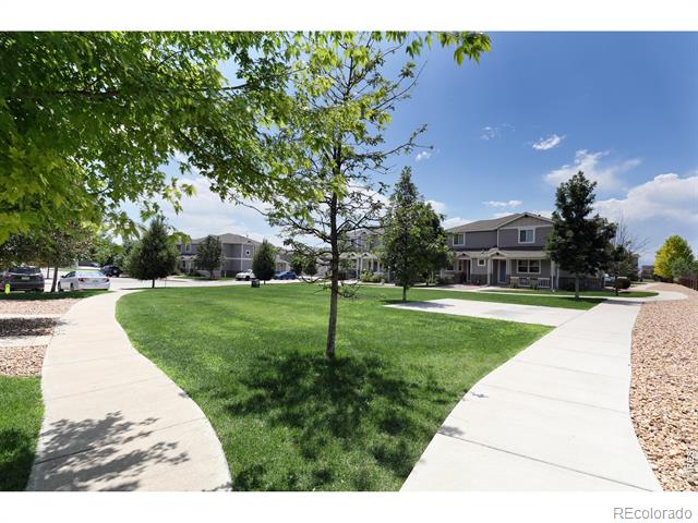 2913 Saratoga Trail