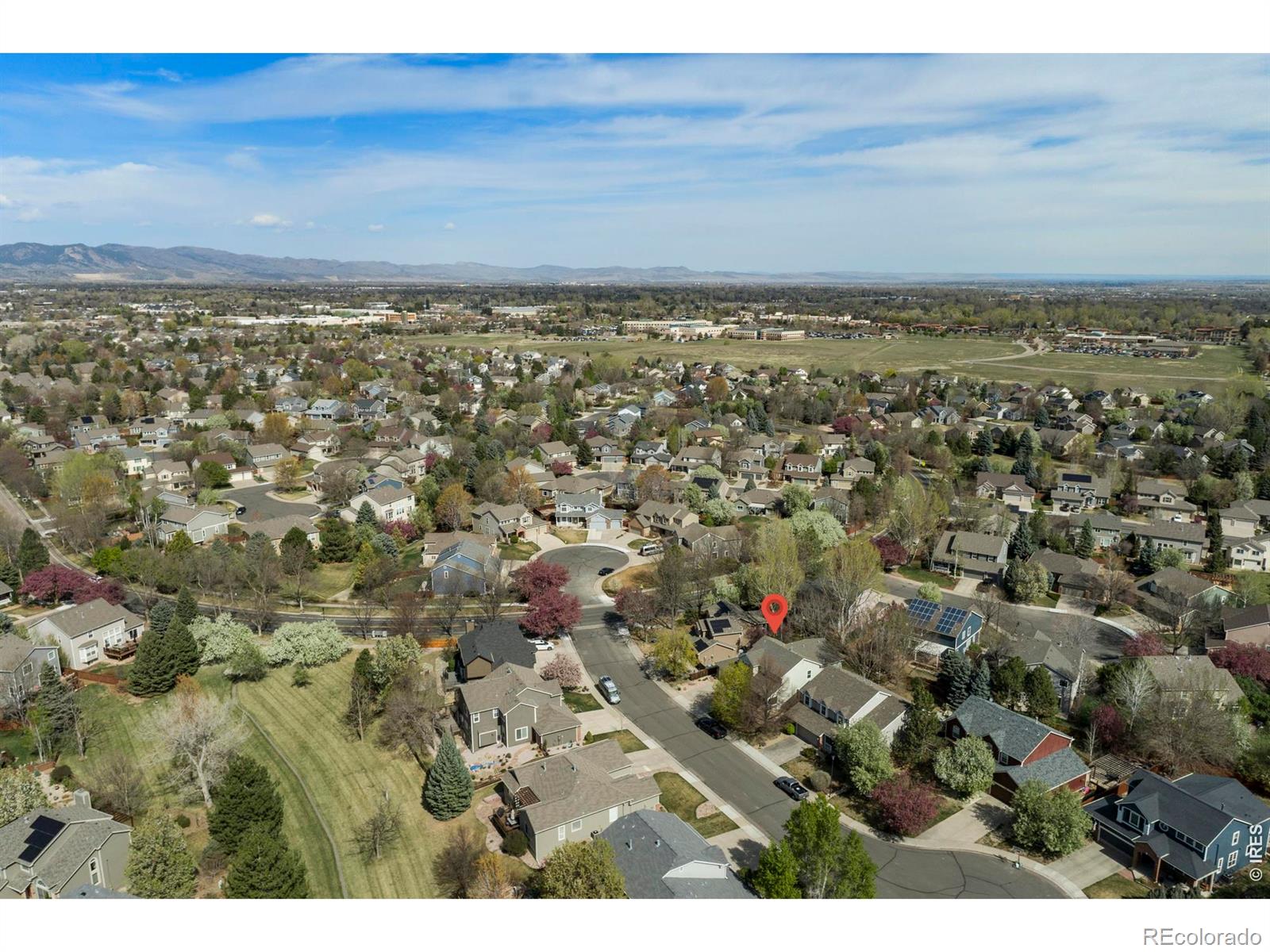 2508 Dallas Creek Court