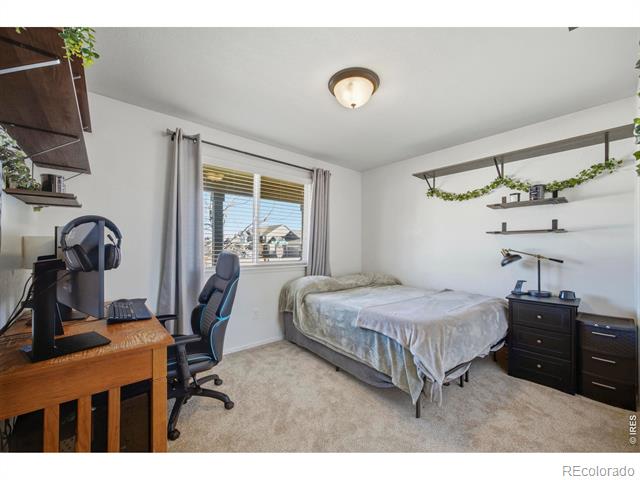 945 Mt Shavano Avenue