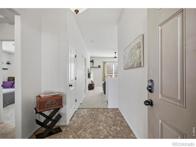 945 Mt Shavano Avenue