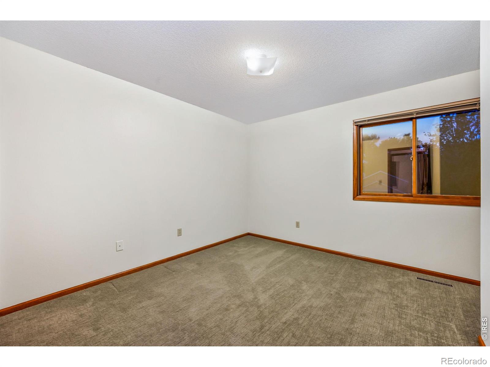 1631 Dogwood Court