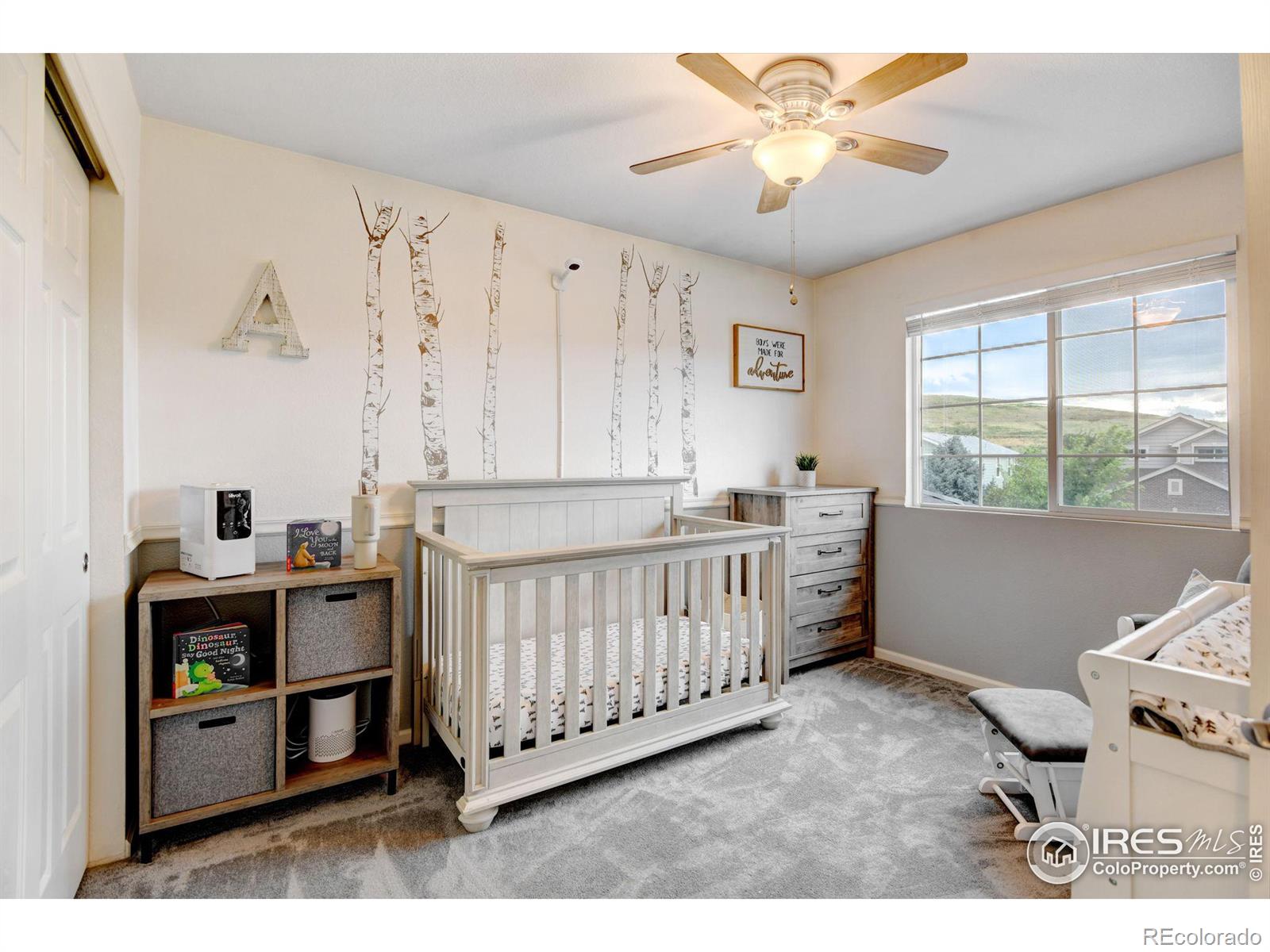 2138 Indian Paintbrush Way