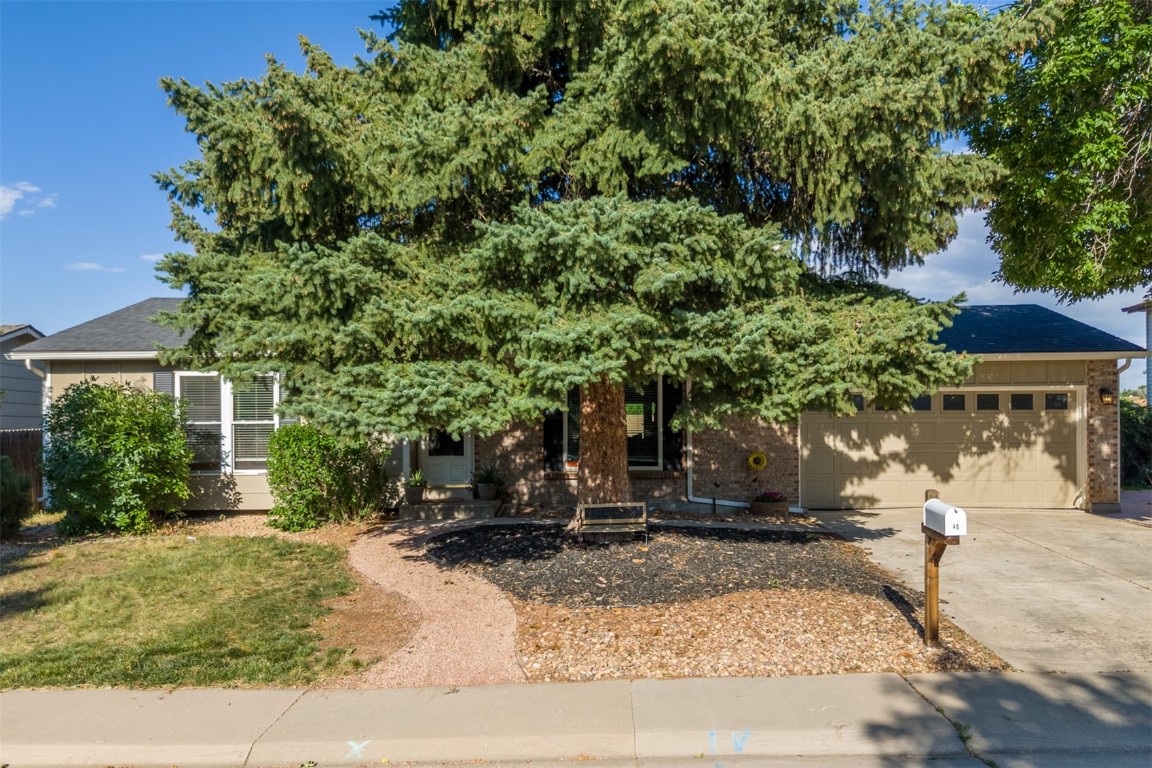 1246 S Telluride STREET