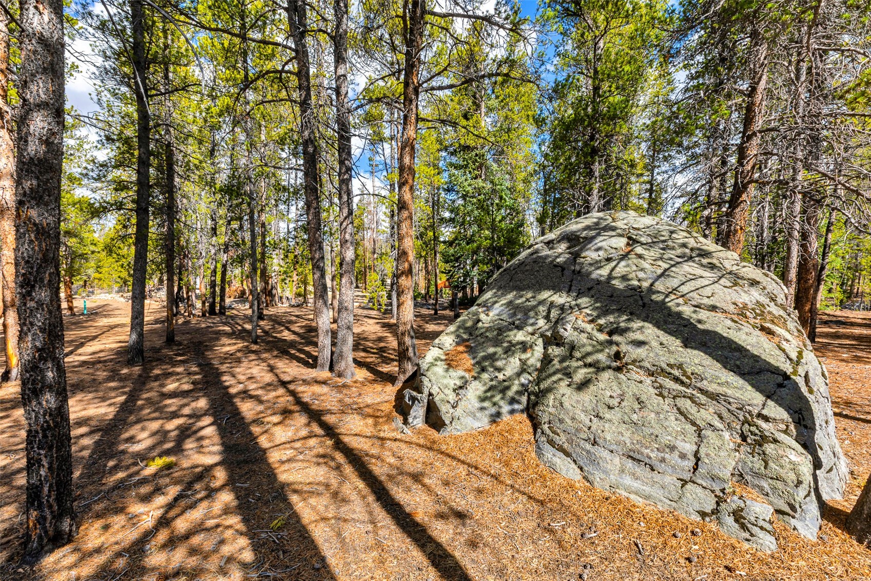 265 Placer DRIVE