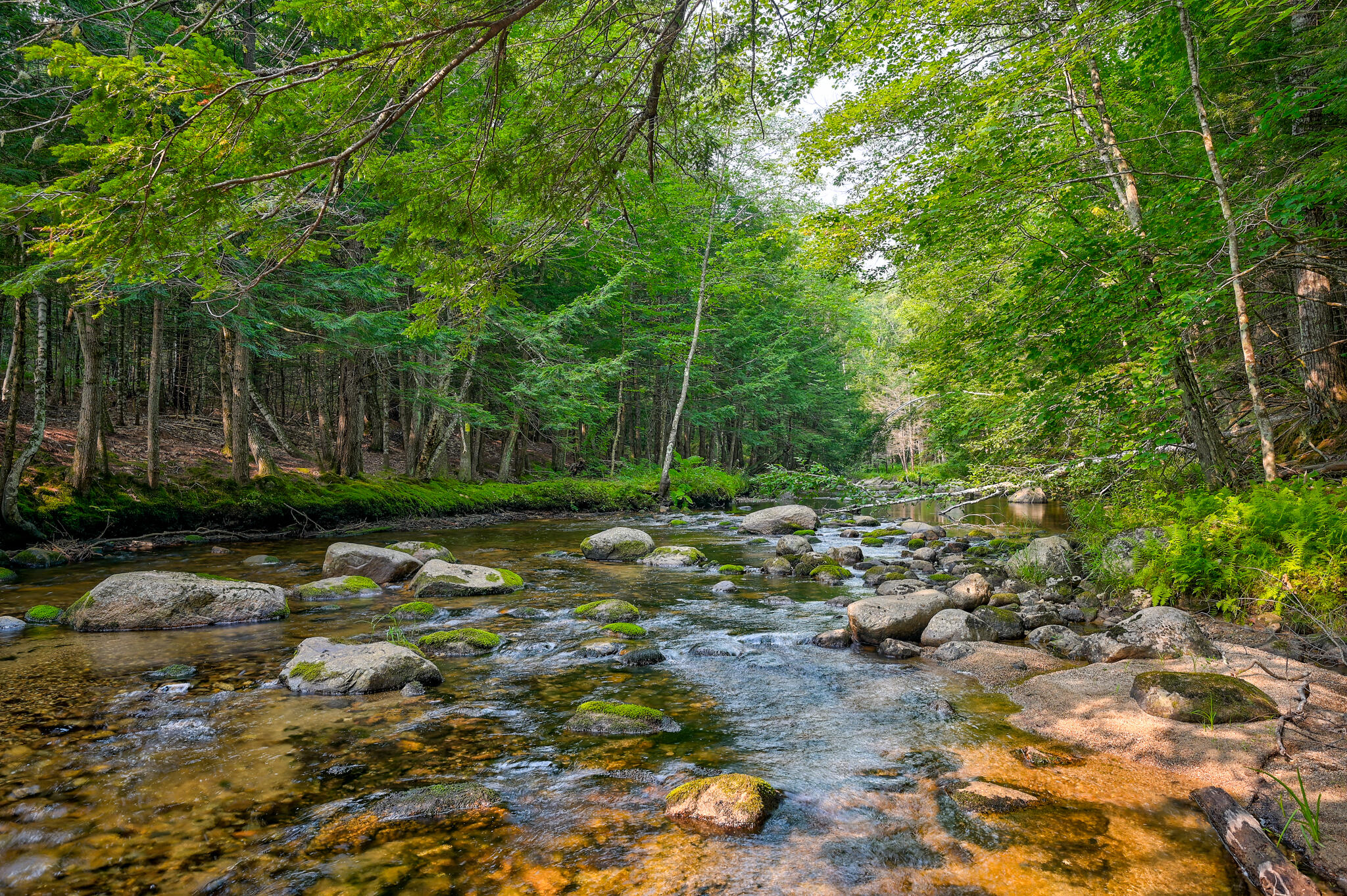 12 Shepherd River Road