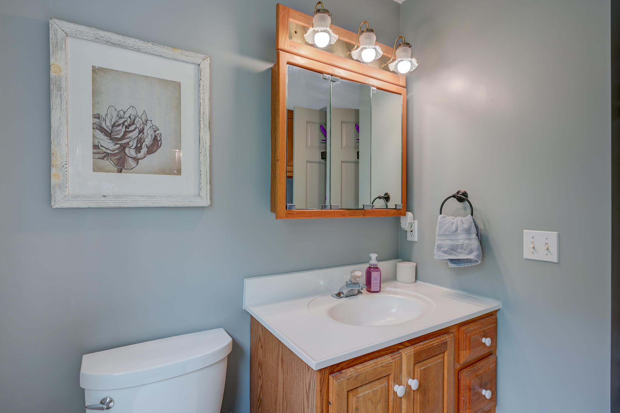 Bathroom with a wood vanity, mirrored cabinet, and framed floral artwork.