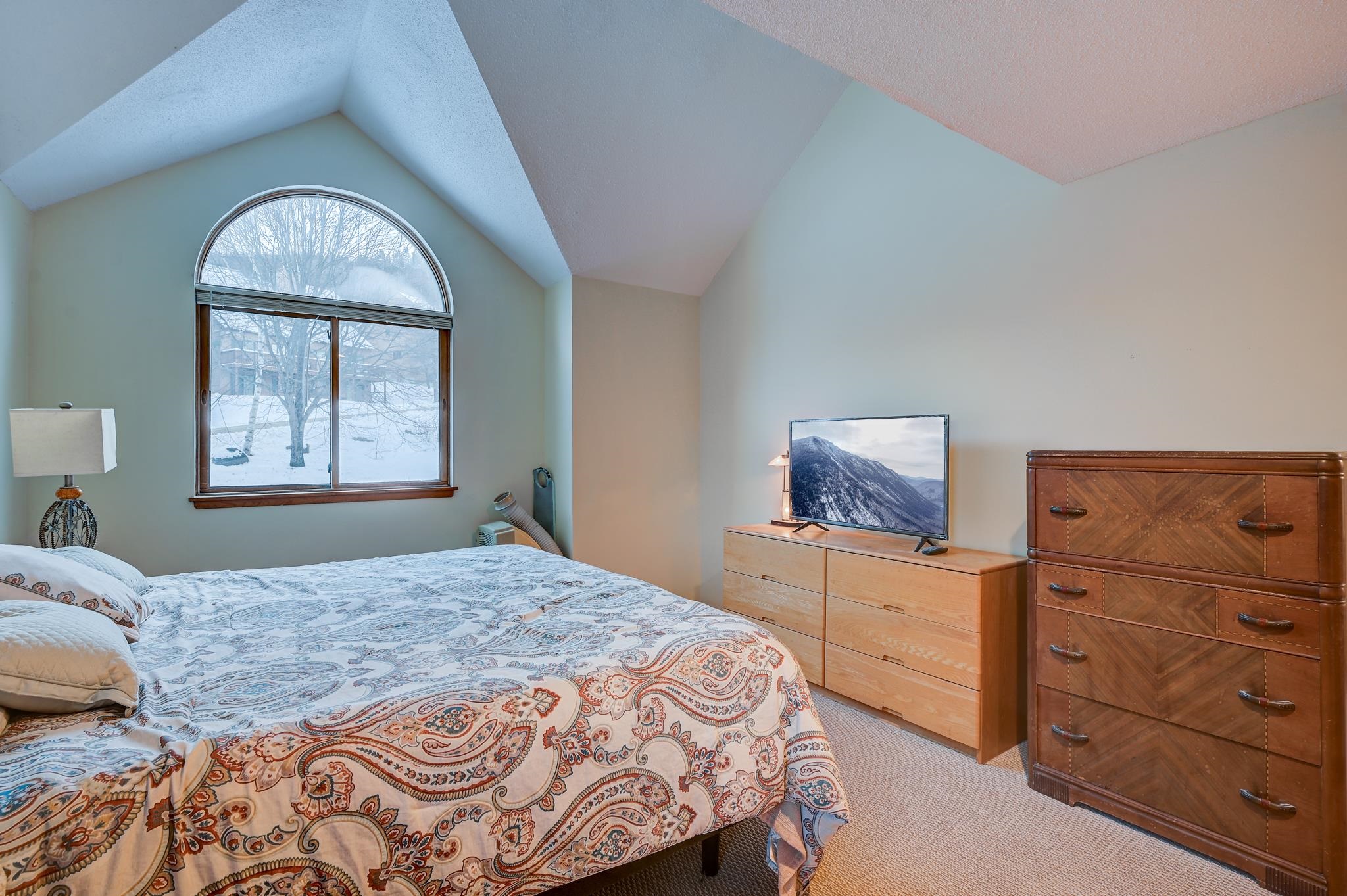 Furnished bedroom with a vaulted ceiling, arched window overlooking snow, and patterned bedding.
