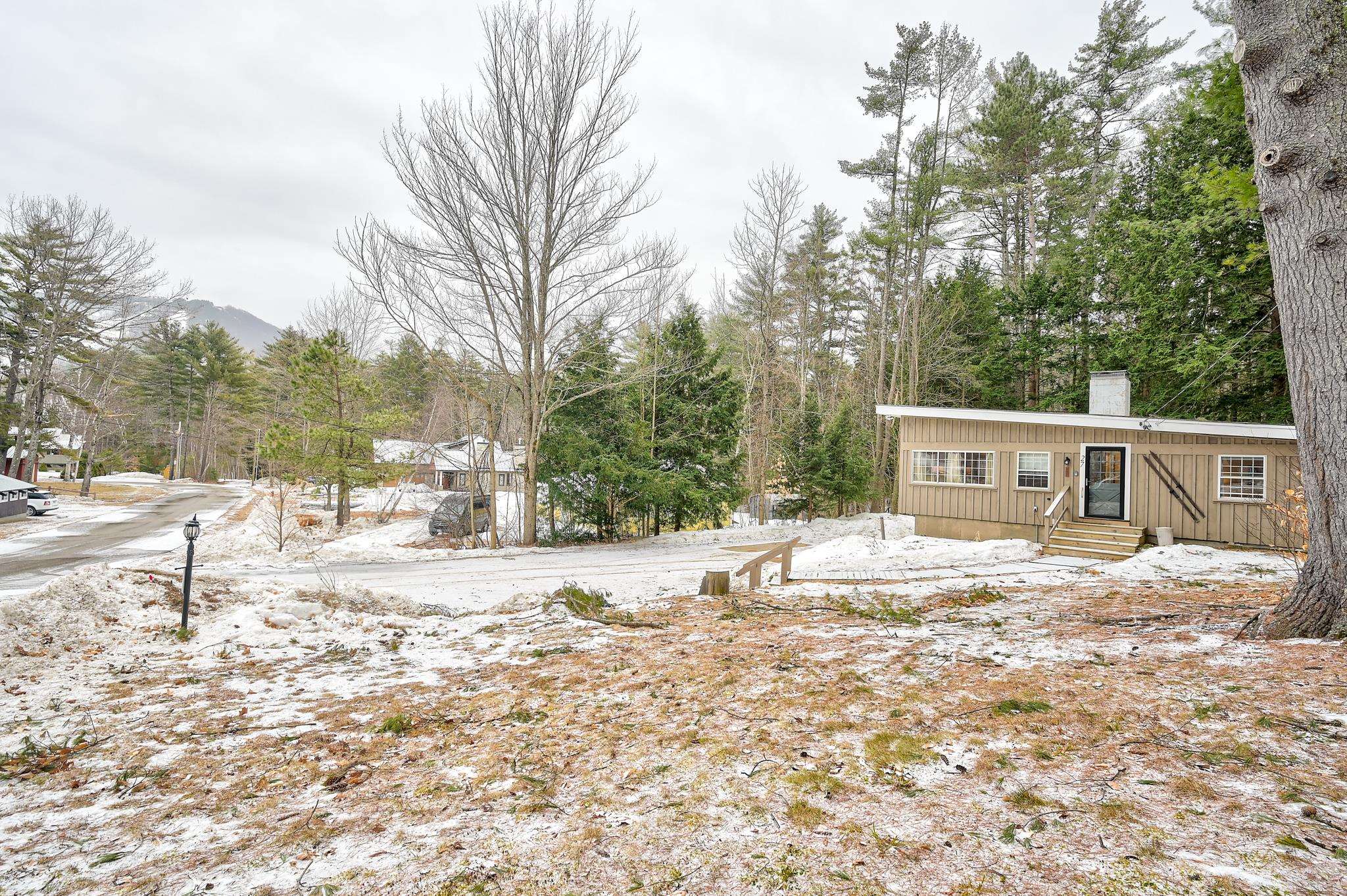Tan single-story home in a snowy wooded setting, with a mountain visible in the distance.