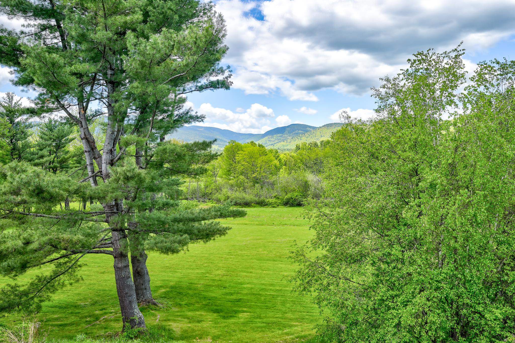 Grassy lawn framed by mature trees, with a forested mountain view beyond.