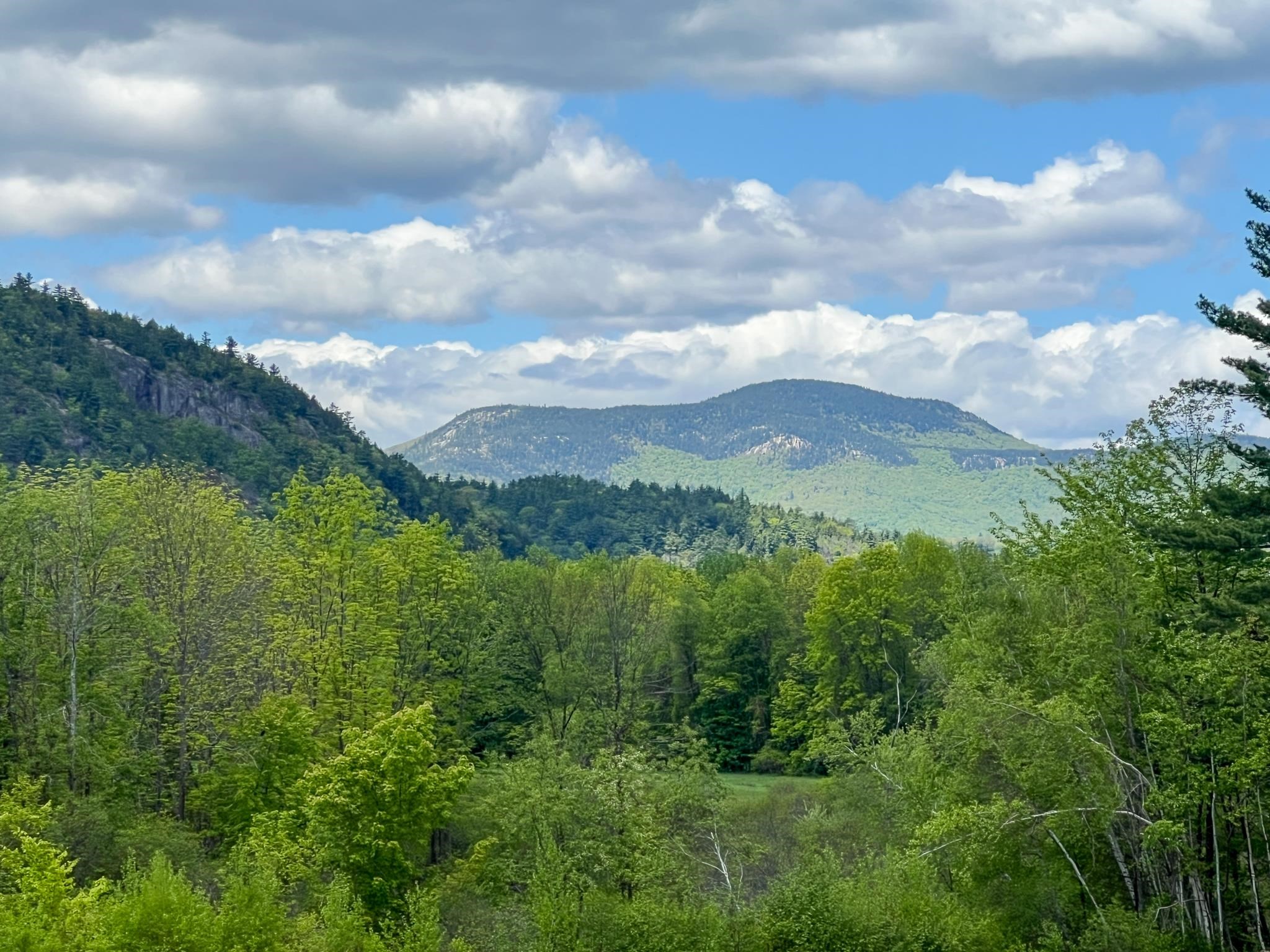 Mountain view above a green forested valley beneath a cloud-filled blue sky.