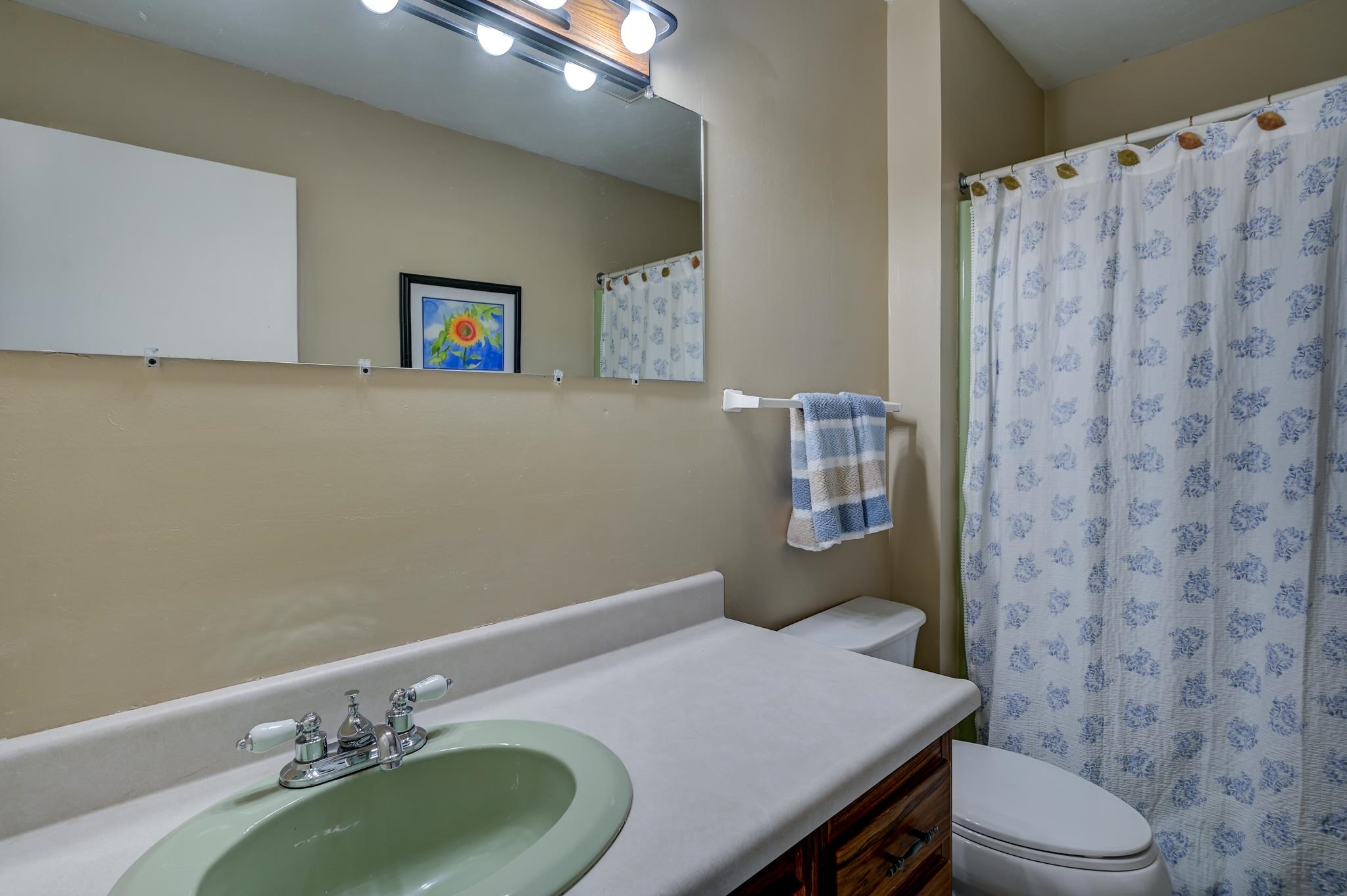 Bathroom with a pale green sink, long white countertop, and blue floral shower curtain.