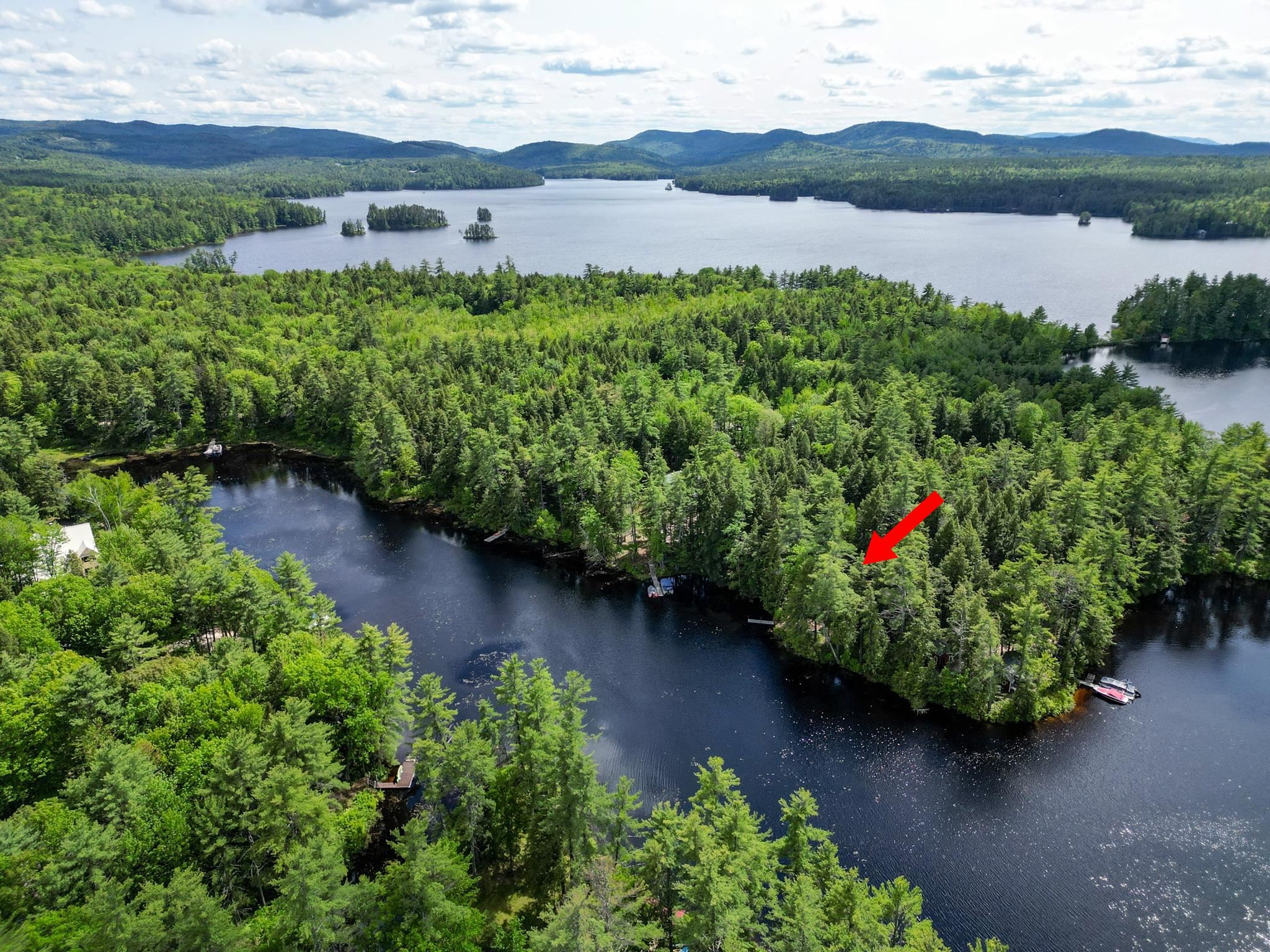 Aerial view of wooded lakefront with a red arrow marking a shoreline location.