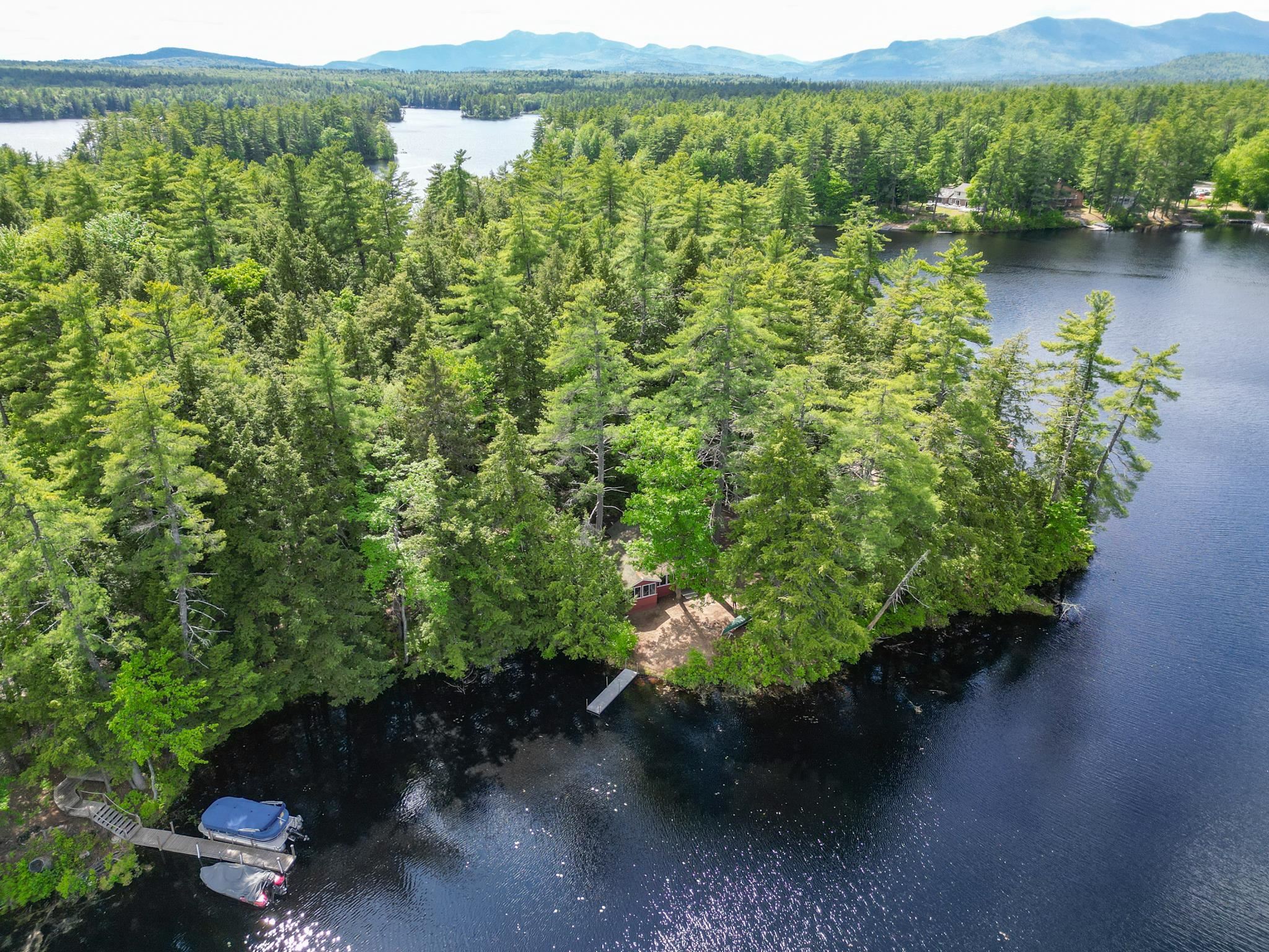 Aerial view of a wooded lakefront property with docks, boats, and distant mountains.