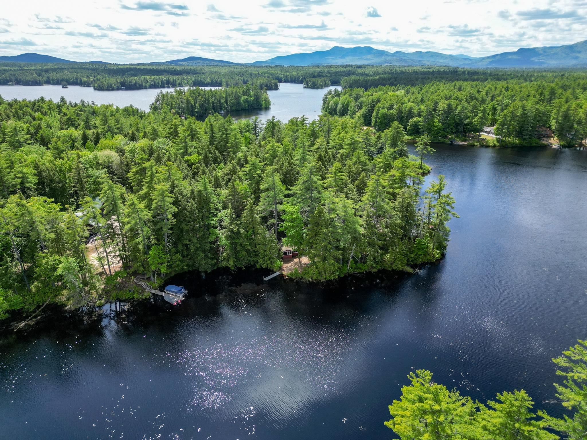 Aerial view of a wooded lakeside peninsula with docks, a boat, and distant mountains.