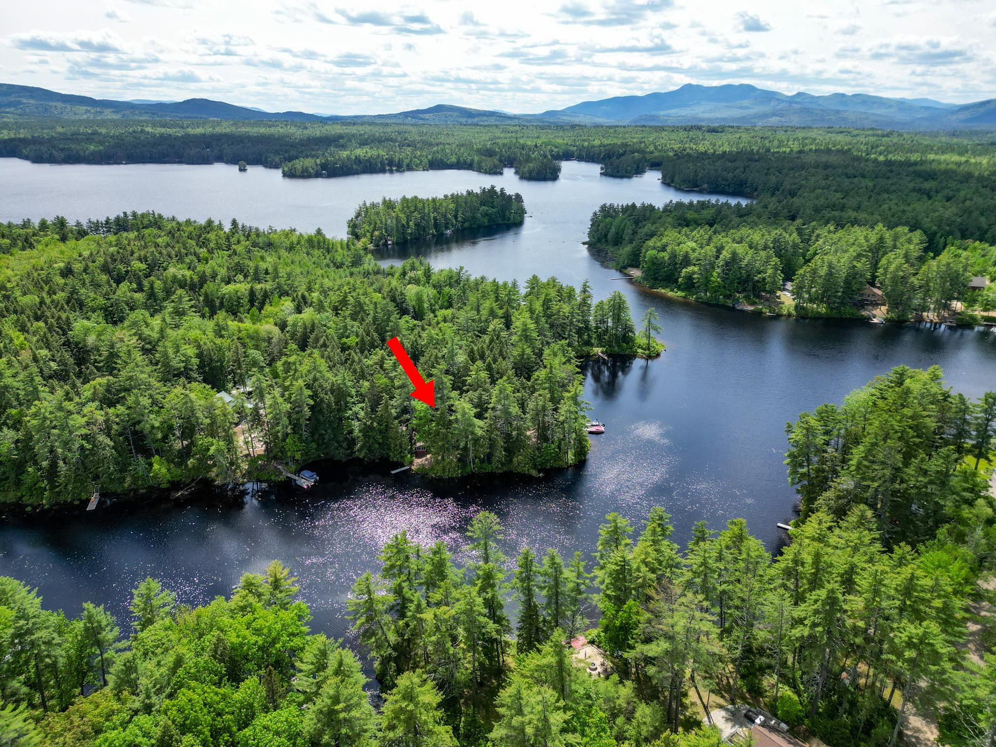 Aerial view of wooded lakefront property marked by a red arrow, with lake and mountains.