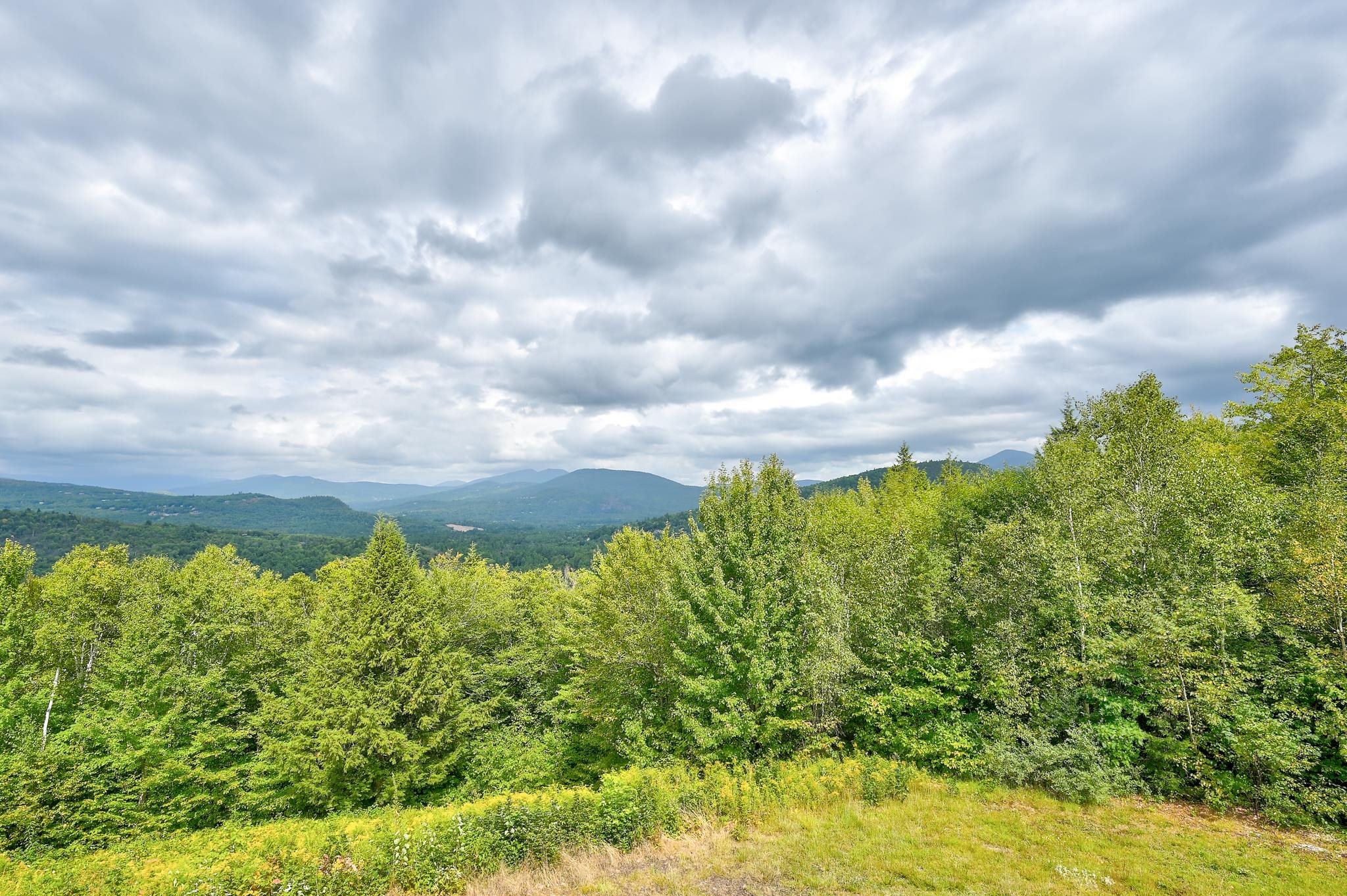 Mountain view across a forested valley beneath a cloudy sky, with treetops in the foreground.