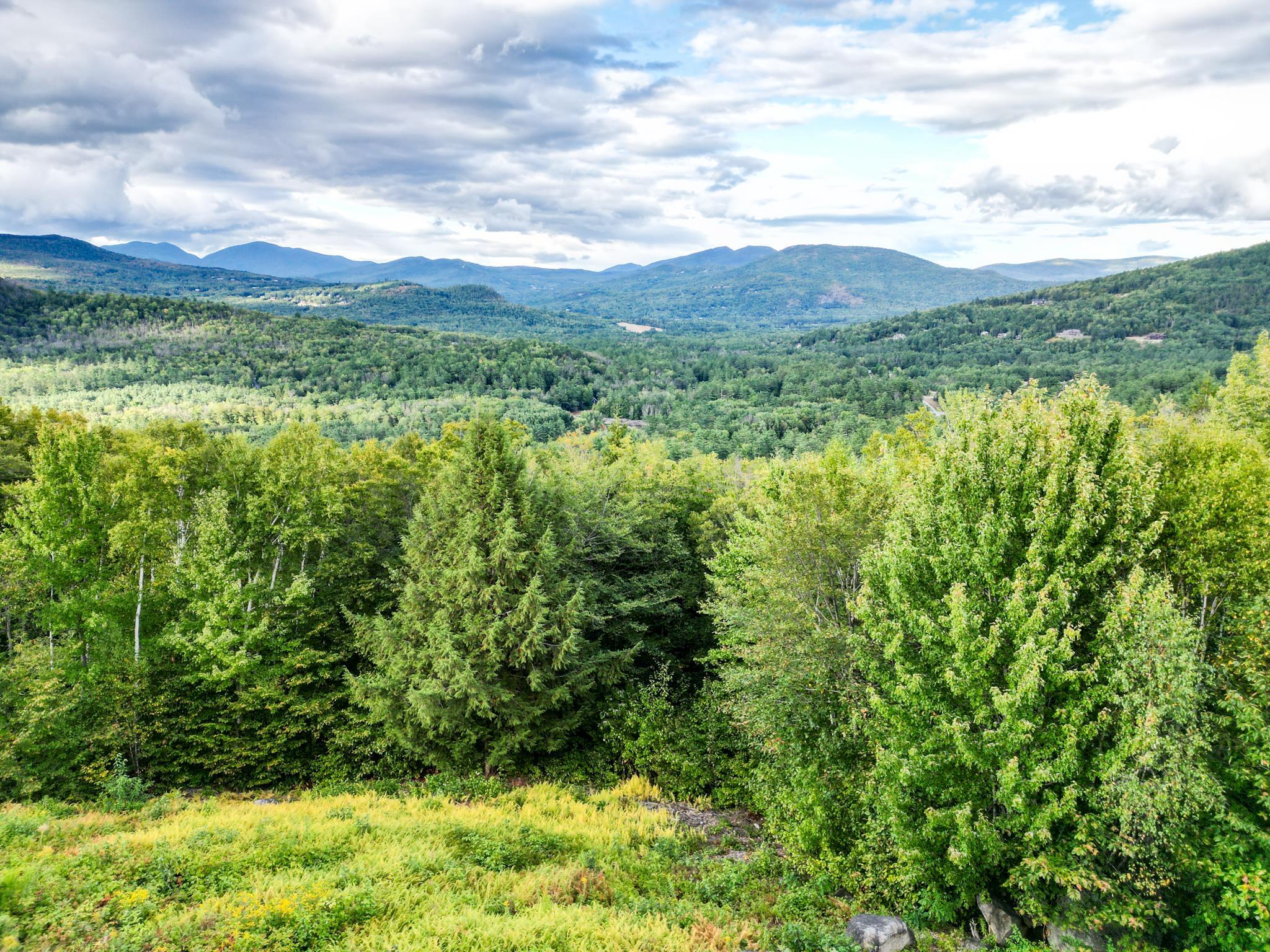 Panoramic mountain view above dense green forest, with a cloudy sky and meadow in the foreground.