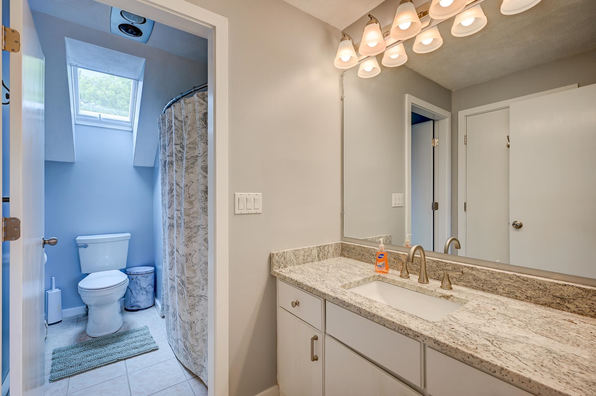 Bathroom vanity with granite counter and sink beside a toilet and skylit shower area.