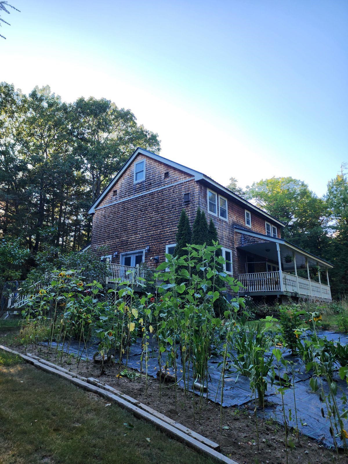 Shingle-sided two-story house with a covered porch behind a large vegetable garden.