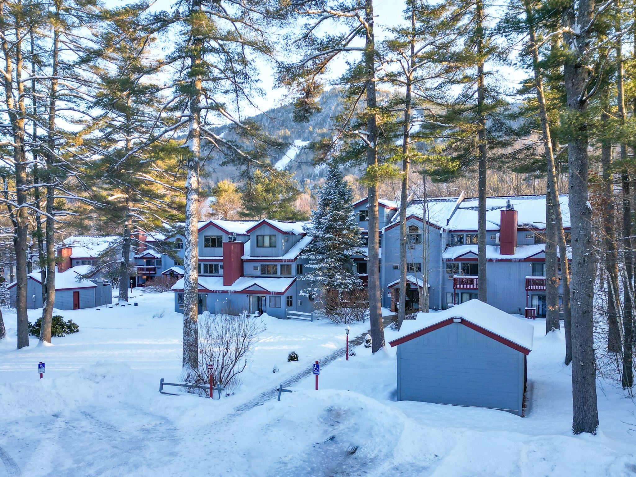 Blue condominiums with red trim stand among snowy trees, with a mountain behind them.