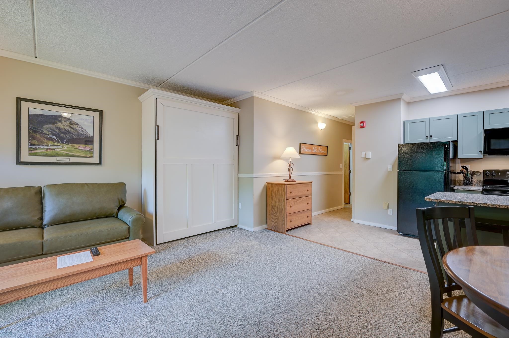 Furnished living room with green sofa, white sliding door, and adjoining kitchen with blue cabinets.