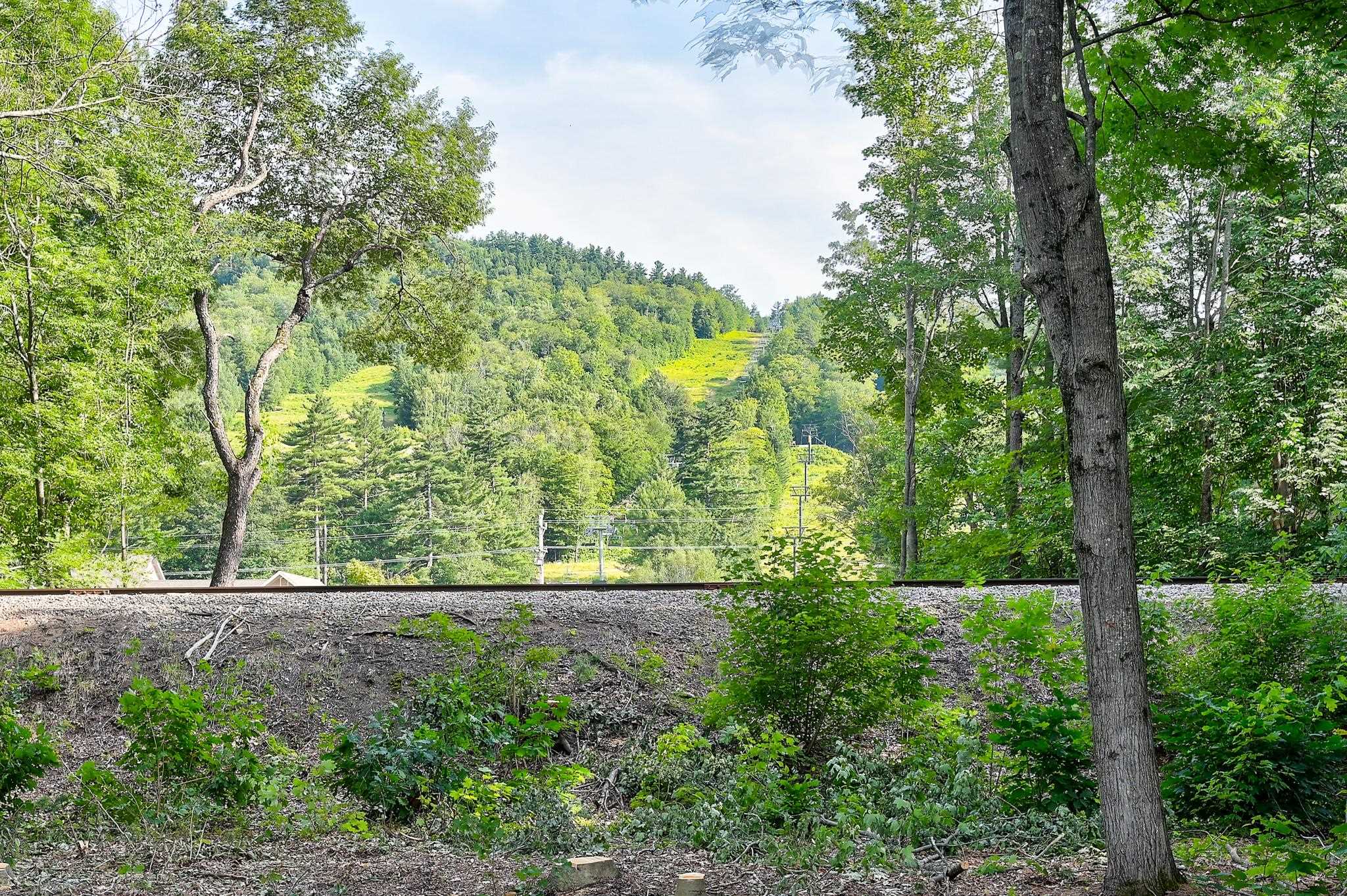 Forested hillside with a cleared trail, seen beyond railroad tracks through summer trees.