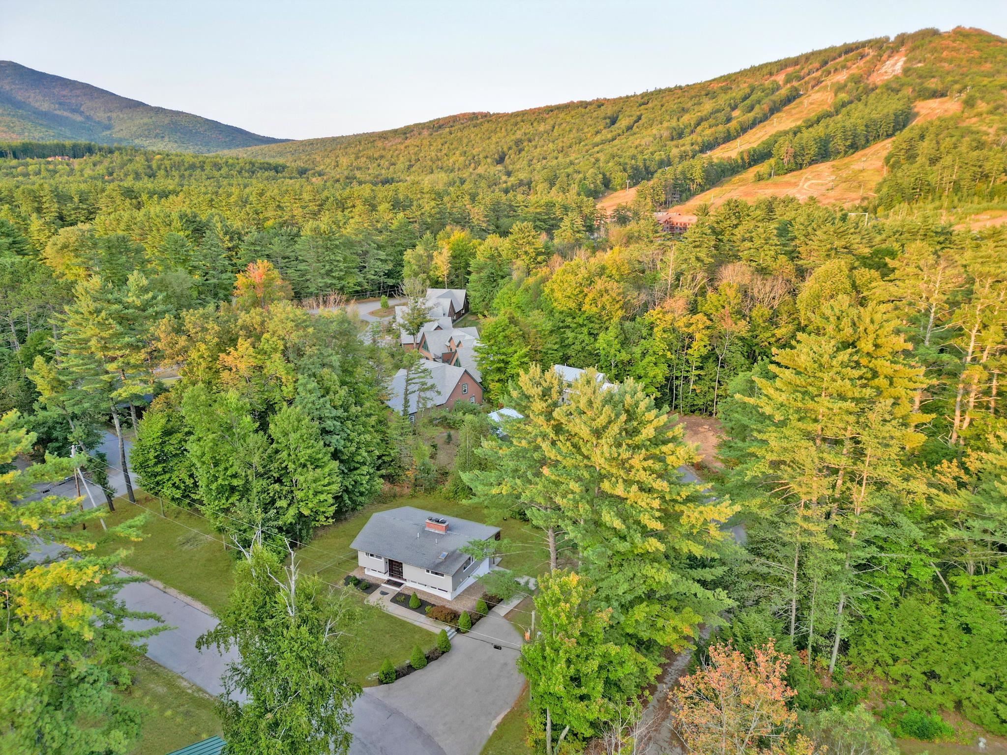 Aerial view of a home surrounded by trees, with nearby houses and a forested mountain slope.