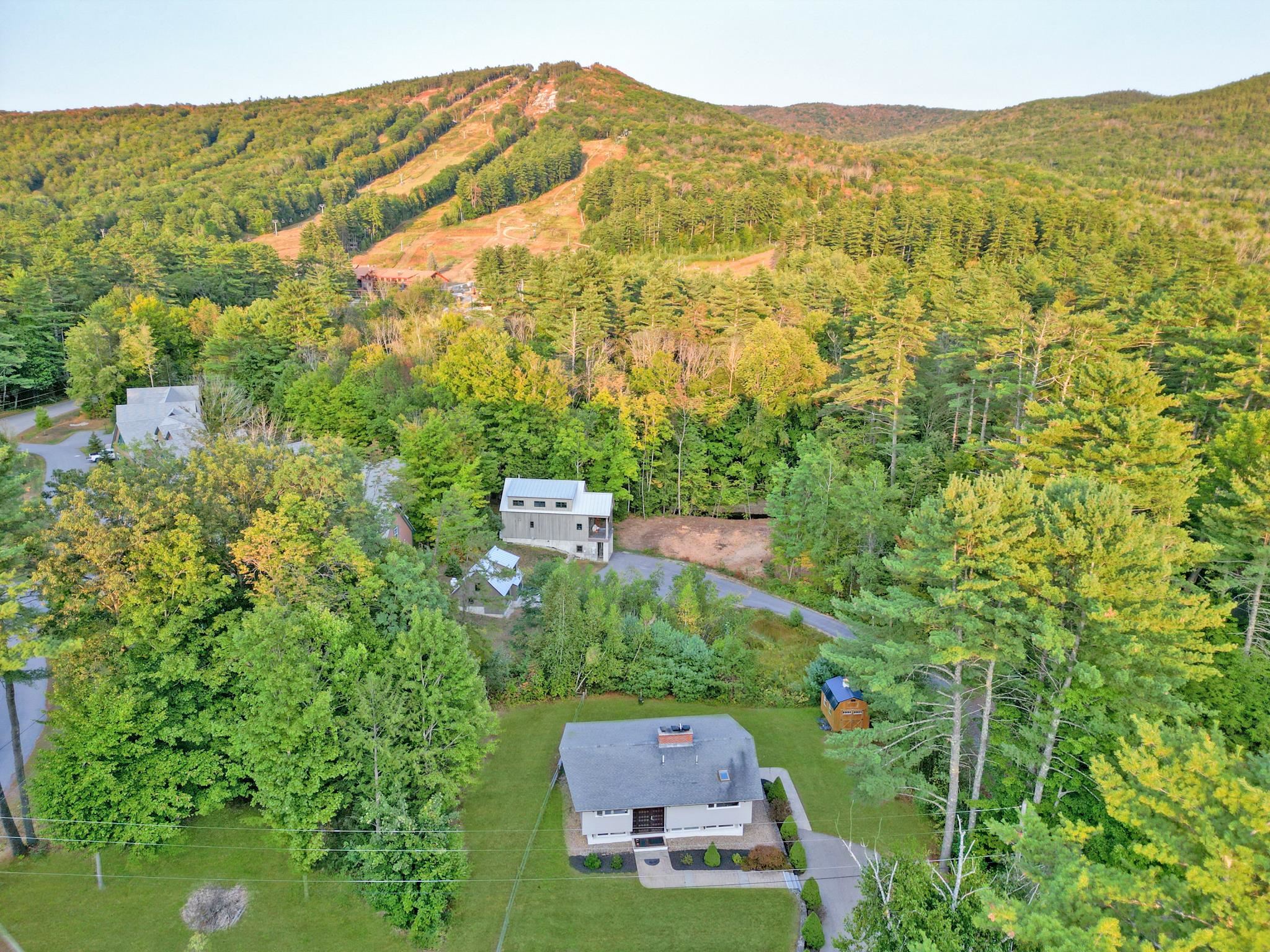 Aerial view of a house among trees, with mountain ski trails in the distance.