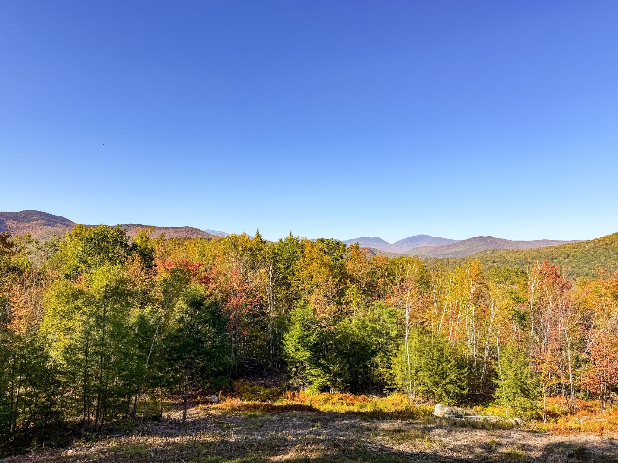 Wooded clearing with autumn foliage and mountain ridges beyond.