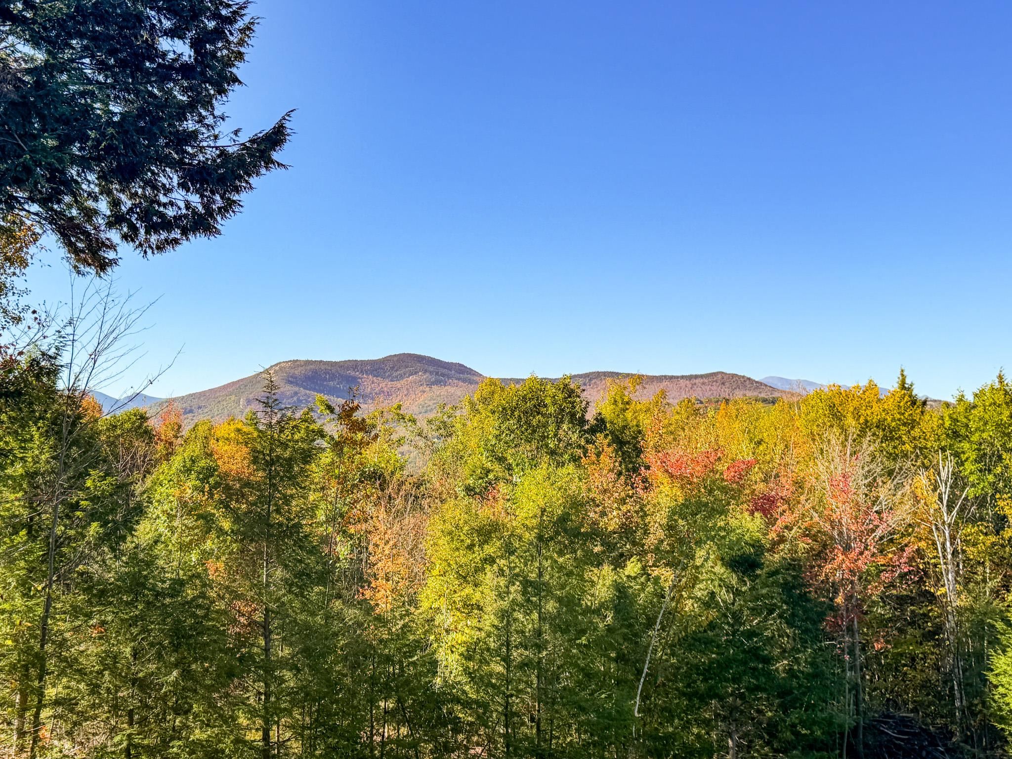 Autumn foliage and wooded foreground frame mountain ridges beneath a clear blue sky.