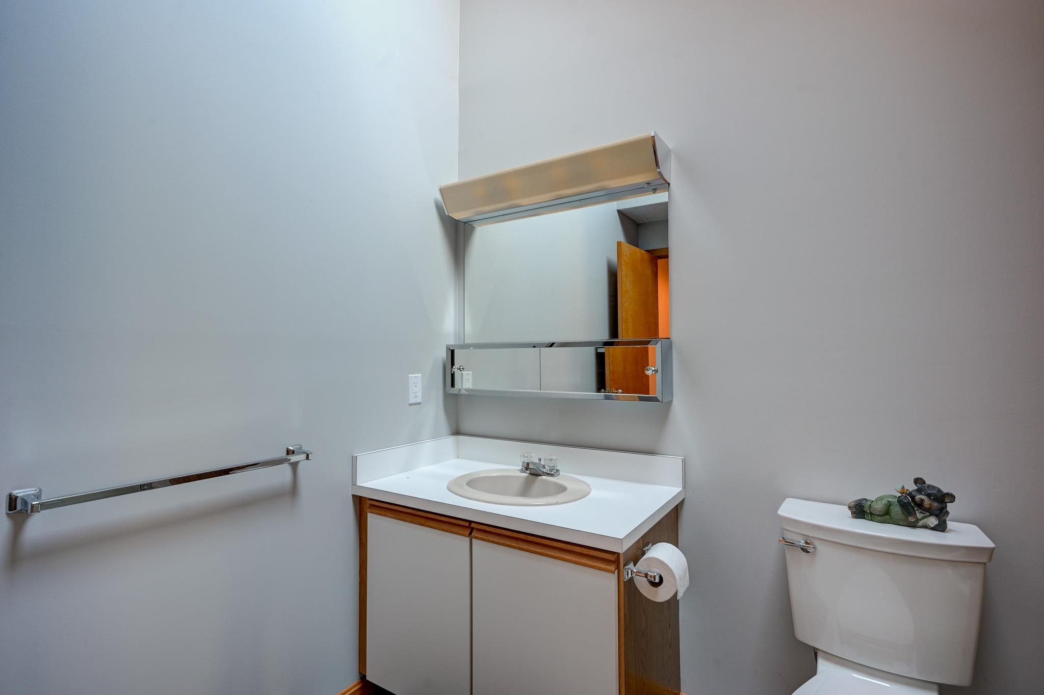 Bathroom with a white vanity, mirrored medicine cabinet, towel bar, and turtle decoration on the toilet.