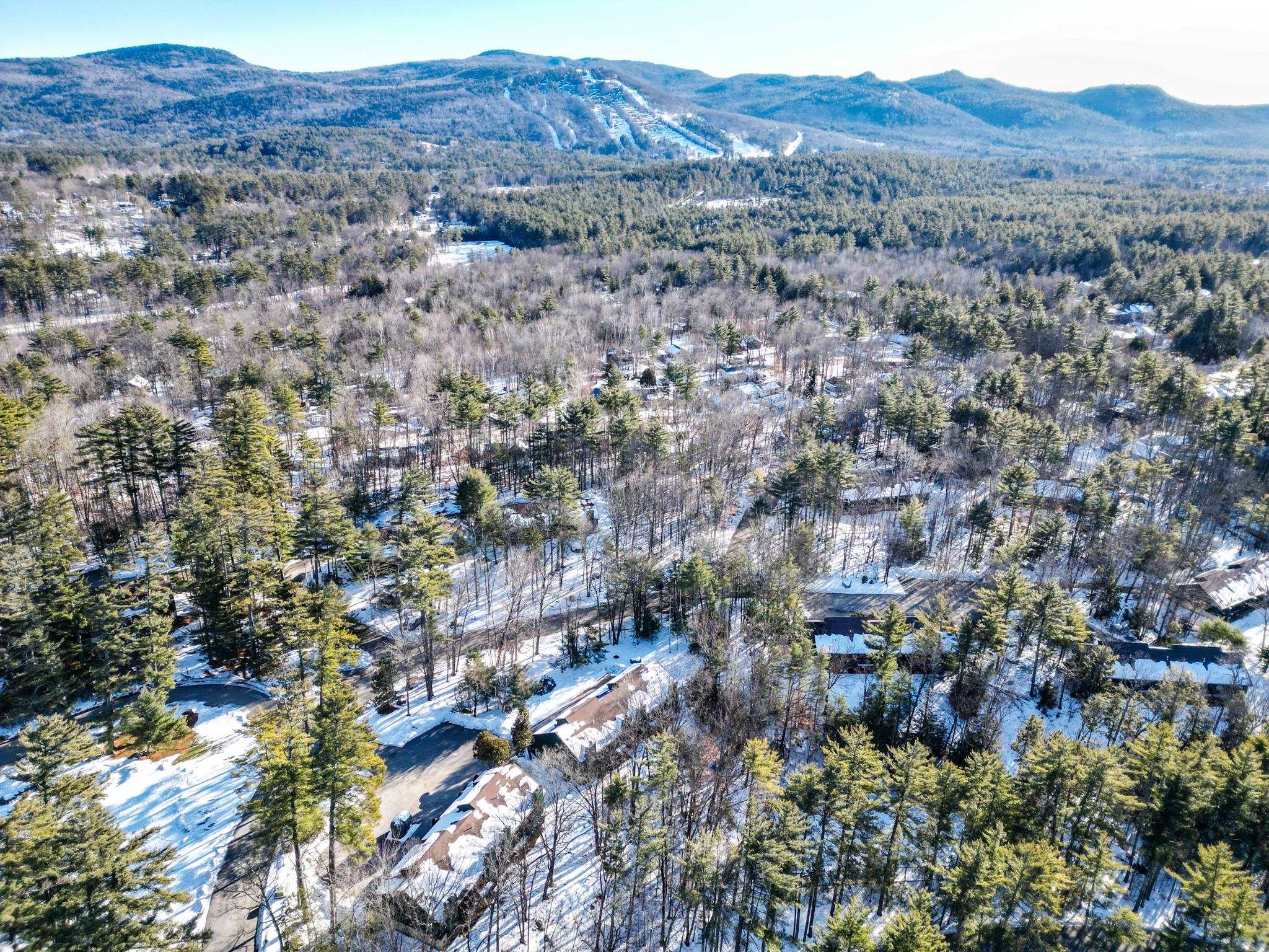 Snow-covered homes among wooded hills, with mountain ski trails in the distance.