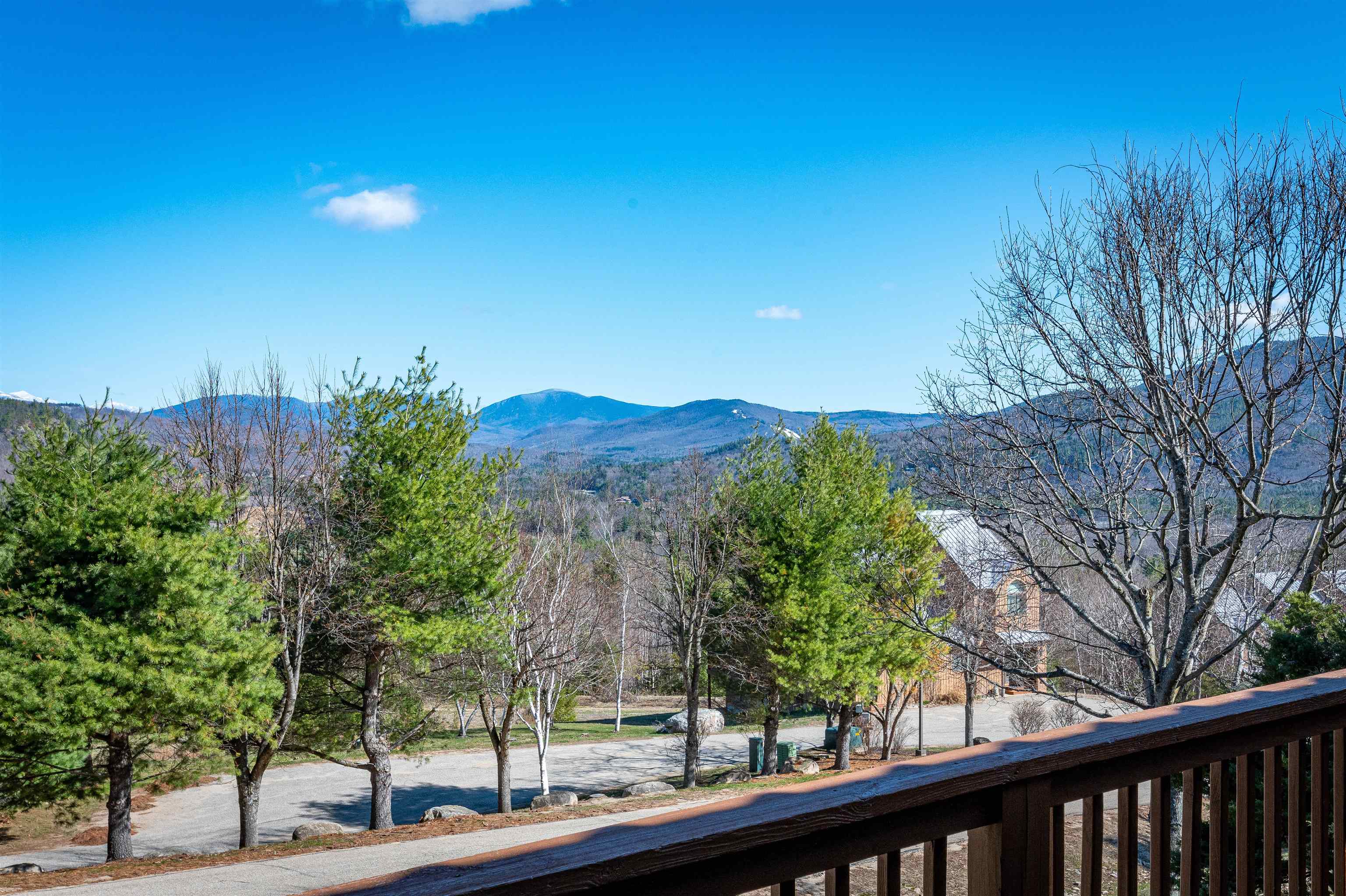 29 Attitash Woods Road Unit: 29