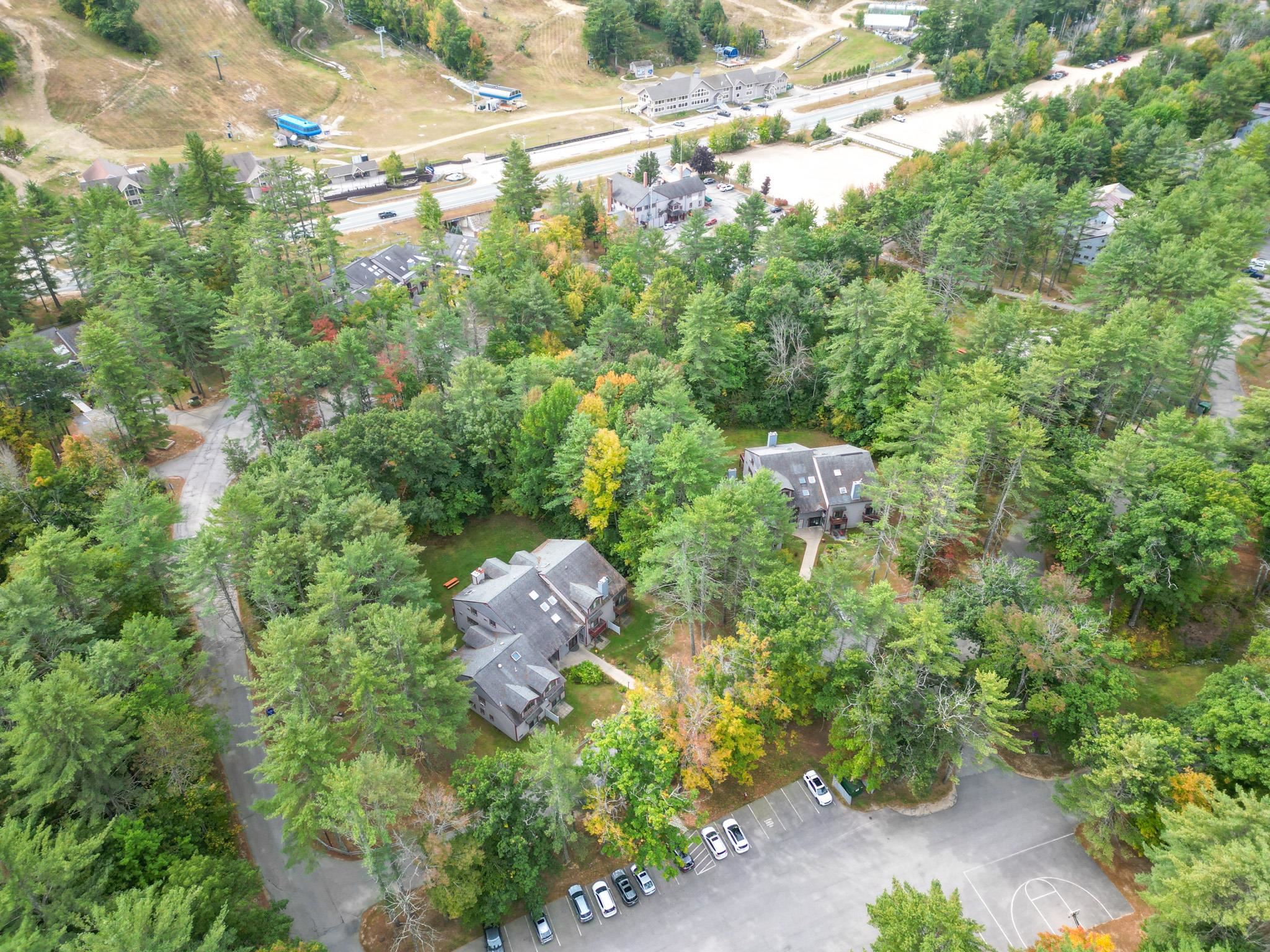 Aerial view of wooded condominium buildings beside a parking lot and basketball court.