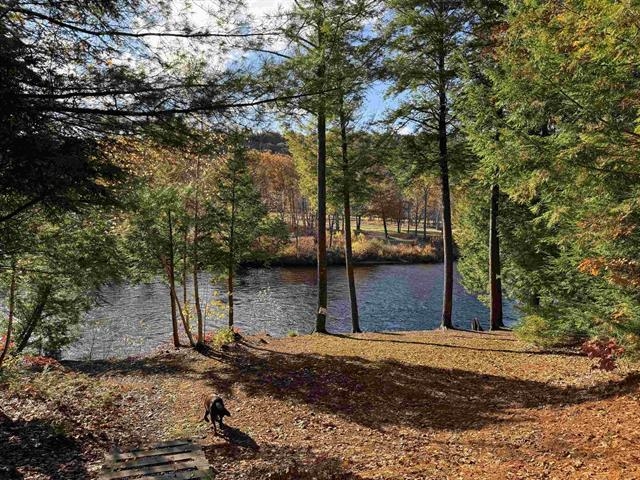 Wooded waterfront with autumn foliage, a river, and a small dog on the leaf-covered bank.