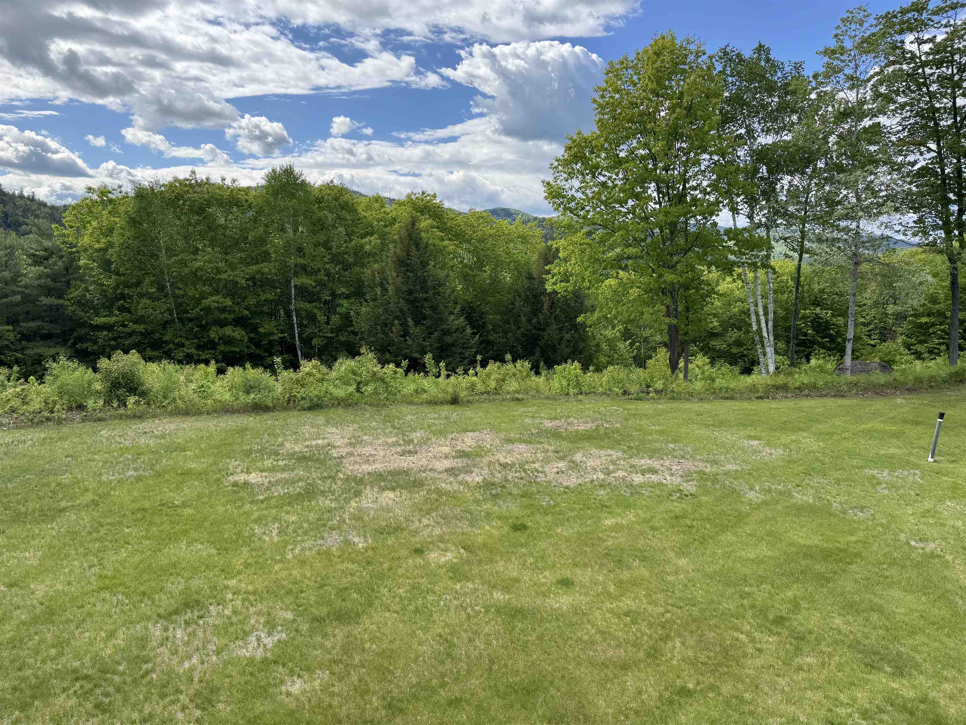 Grassy lawn bordered by trees, with distant wooded hills beneath a partly cloudy sky.